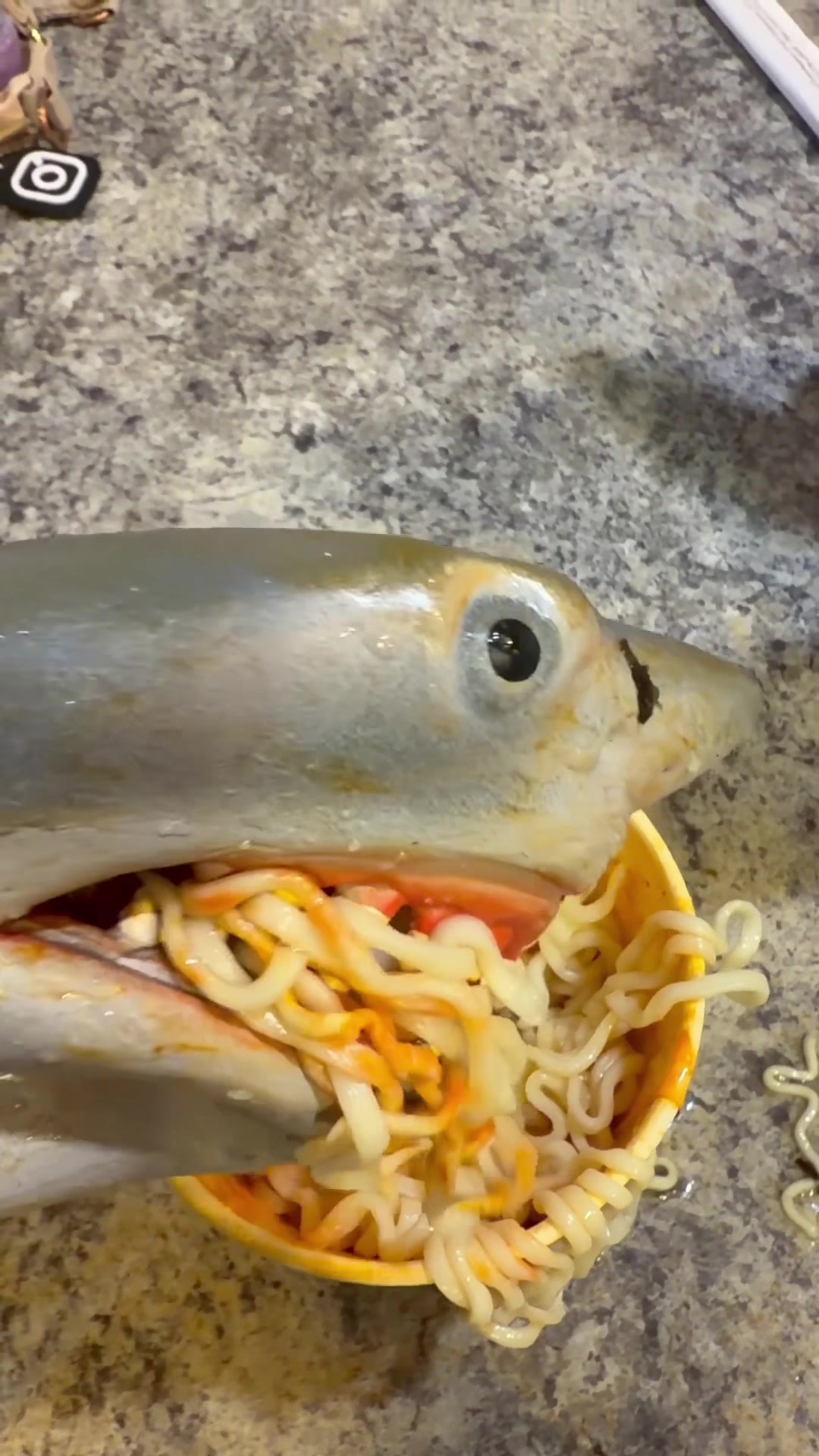 @the.shark.puppet