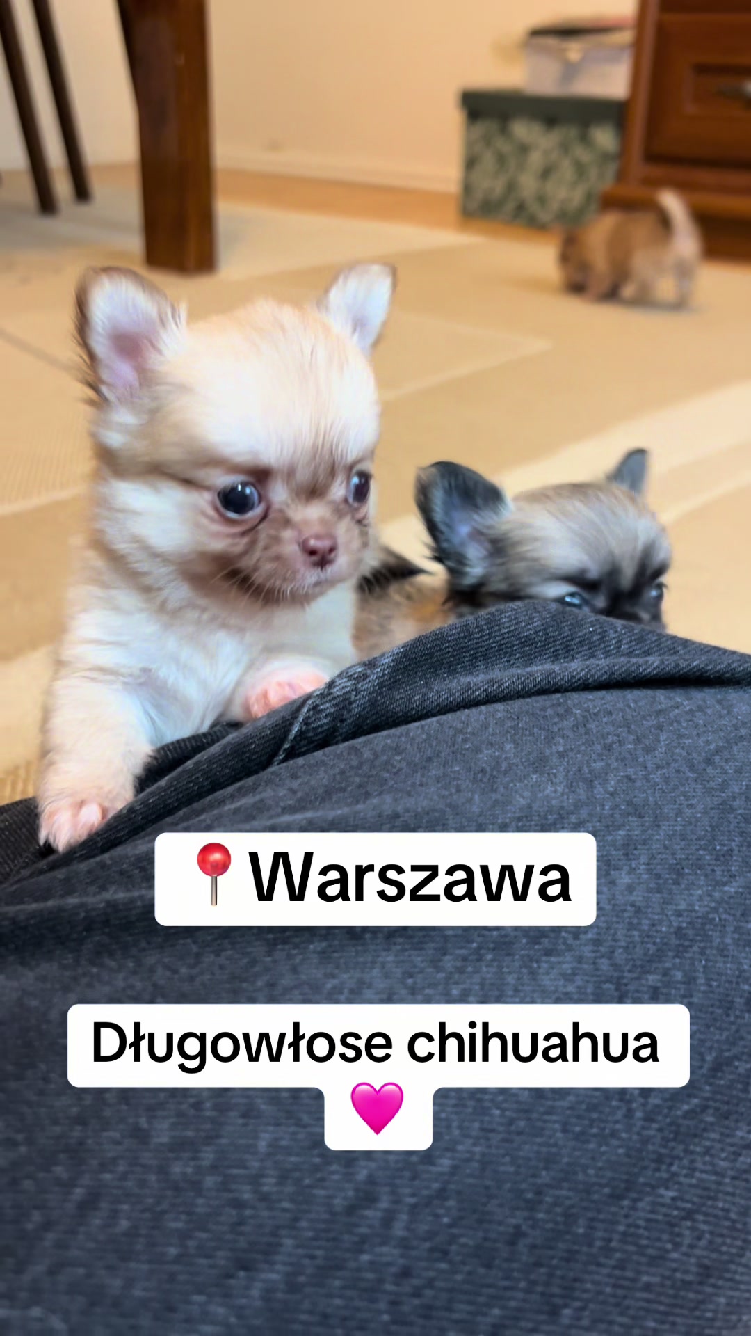 @Ulybki_lilu
