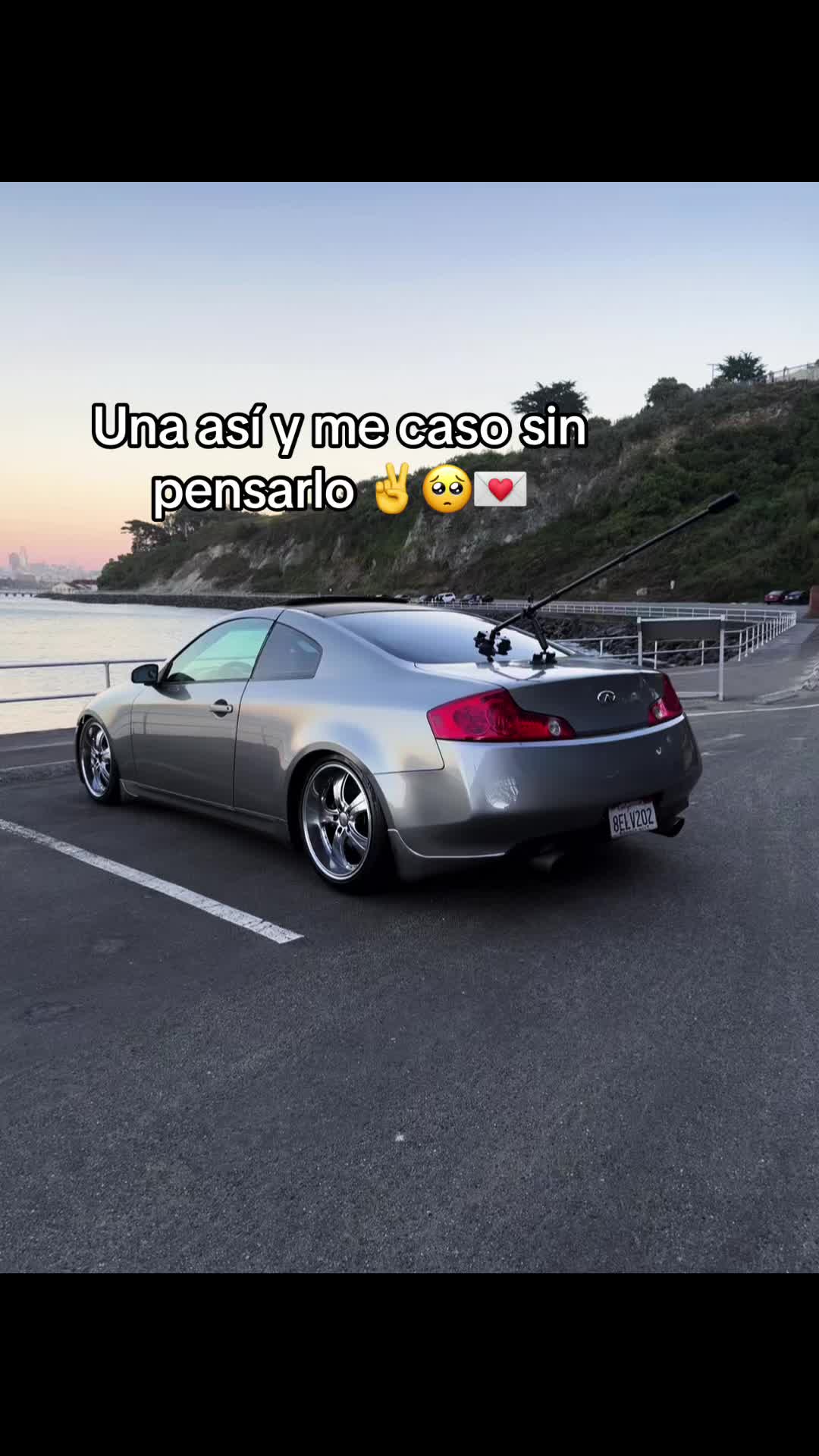 @FeliFeli