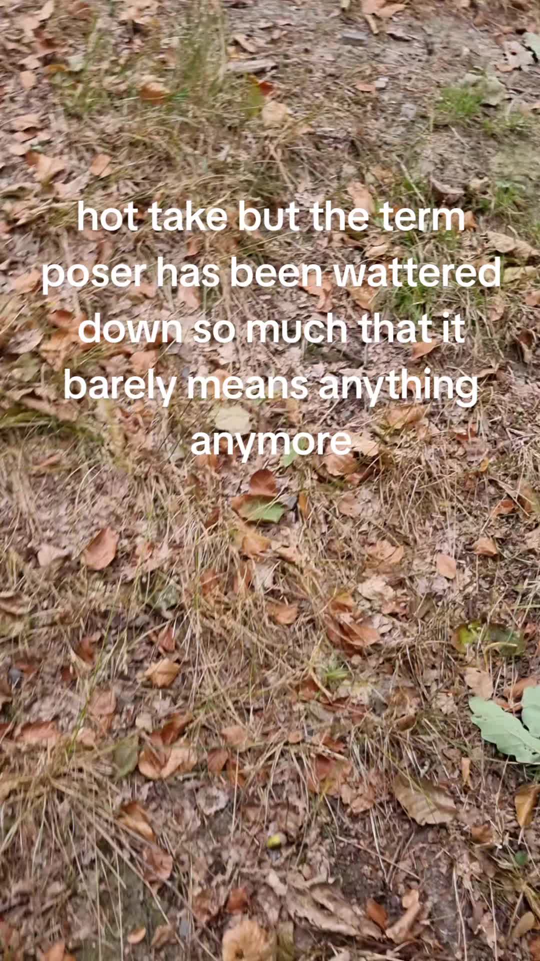 @Nirvana Fan🚩