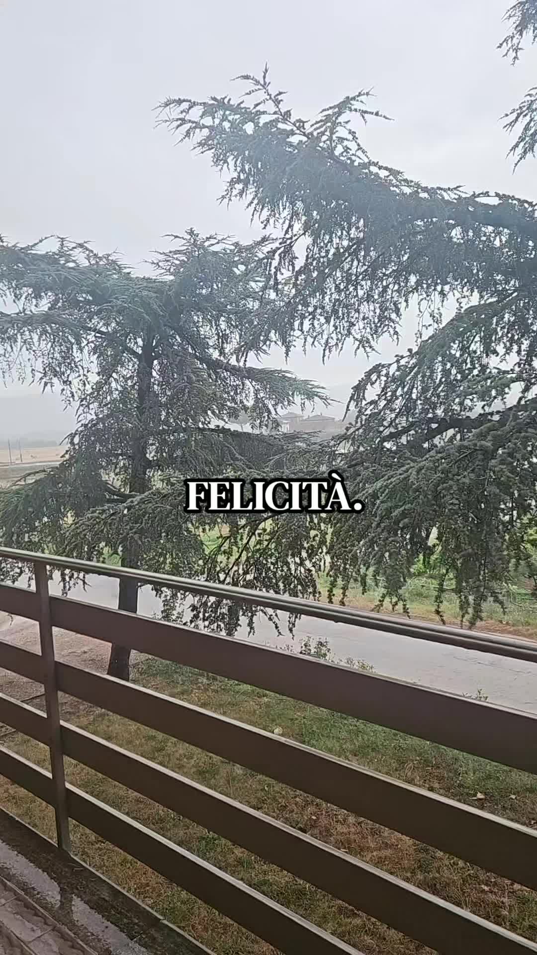 @Eleonora 🤍🖤