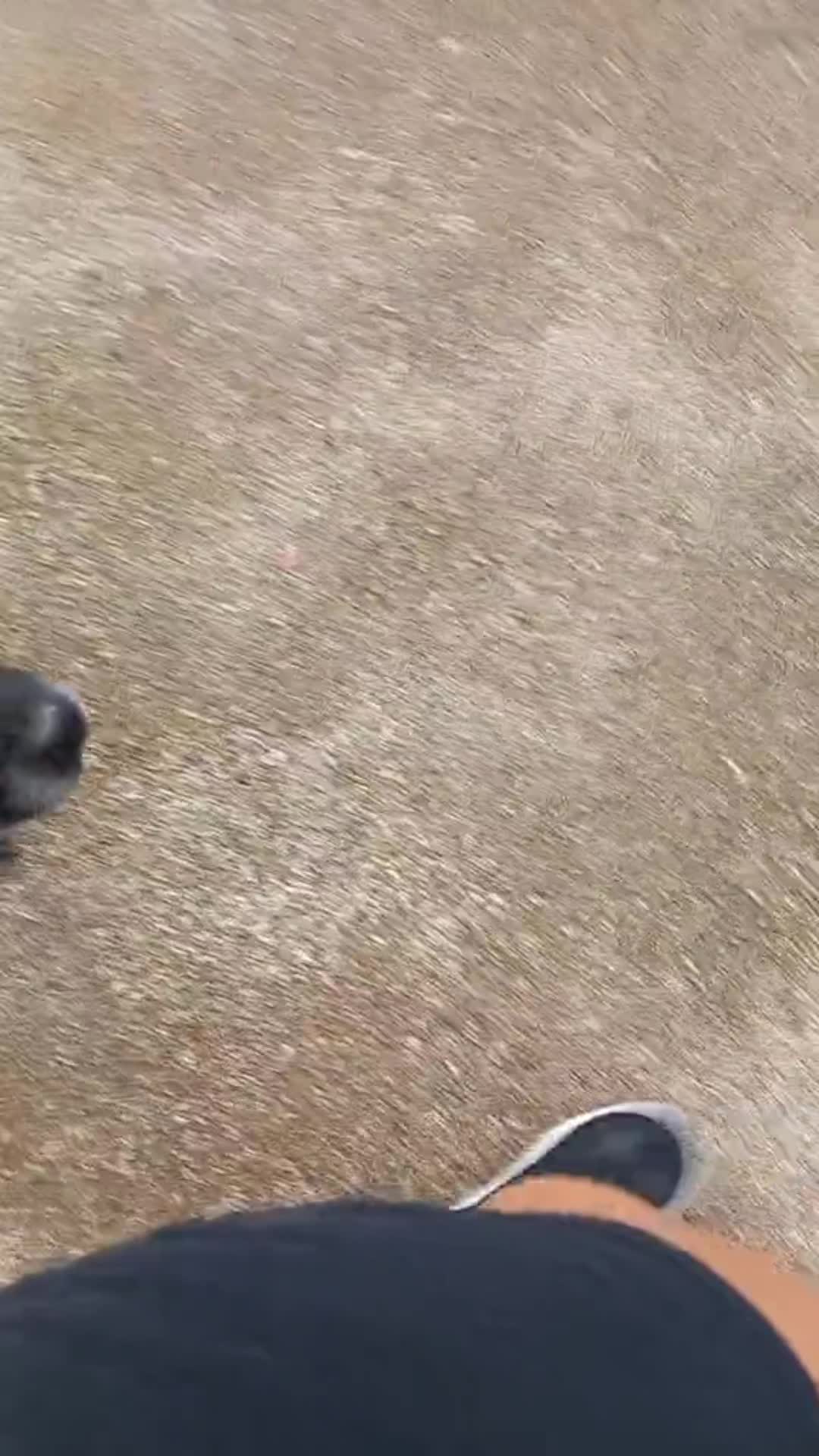 @Sharoncory