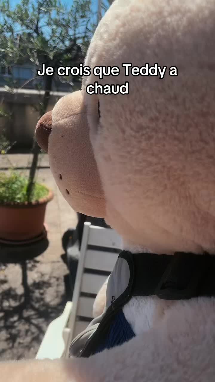 @Les aventures de Teddy