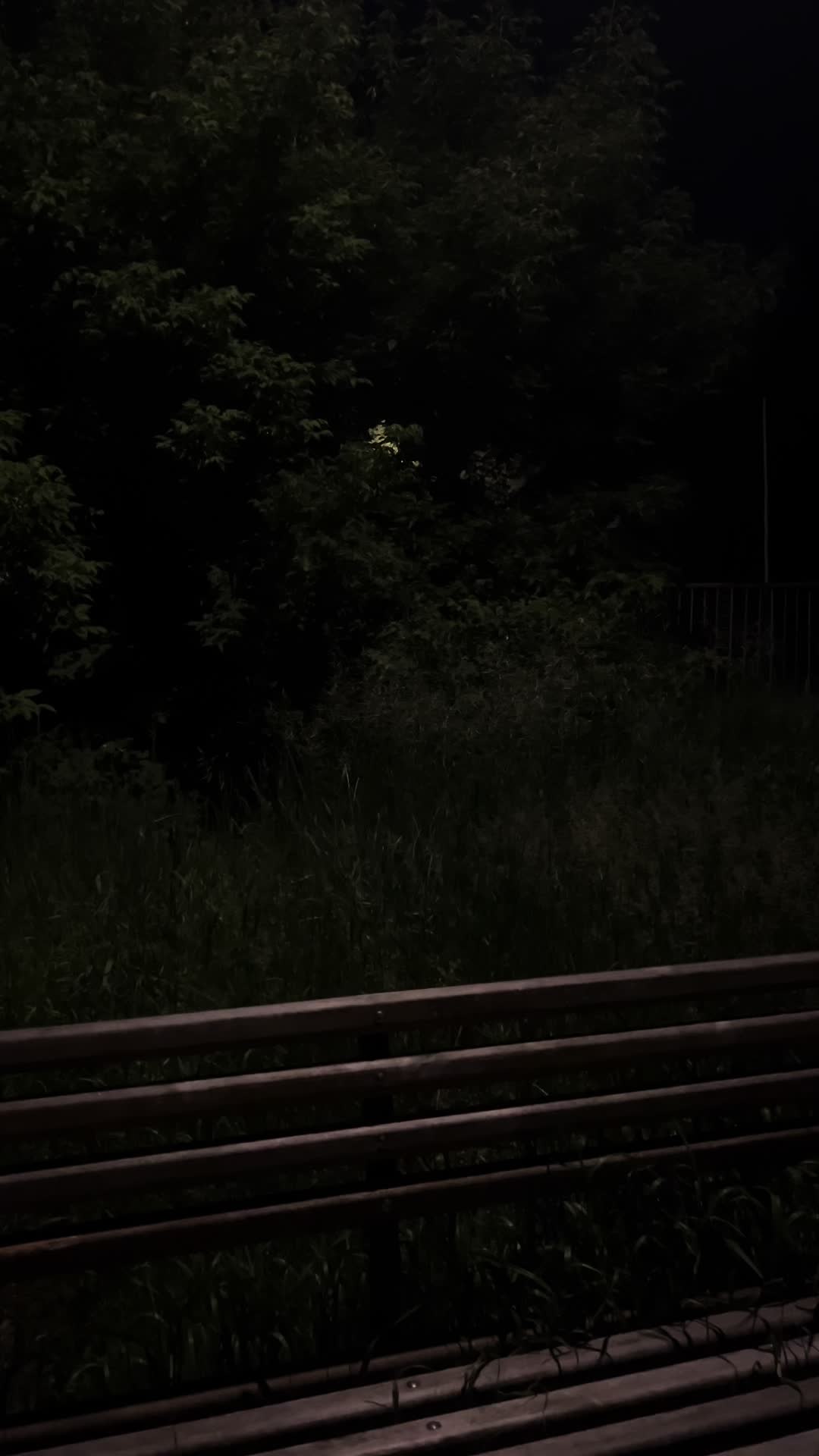 @ночные терзания
