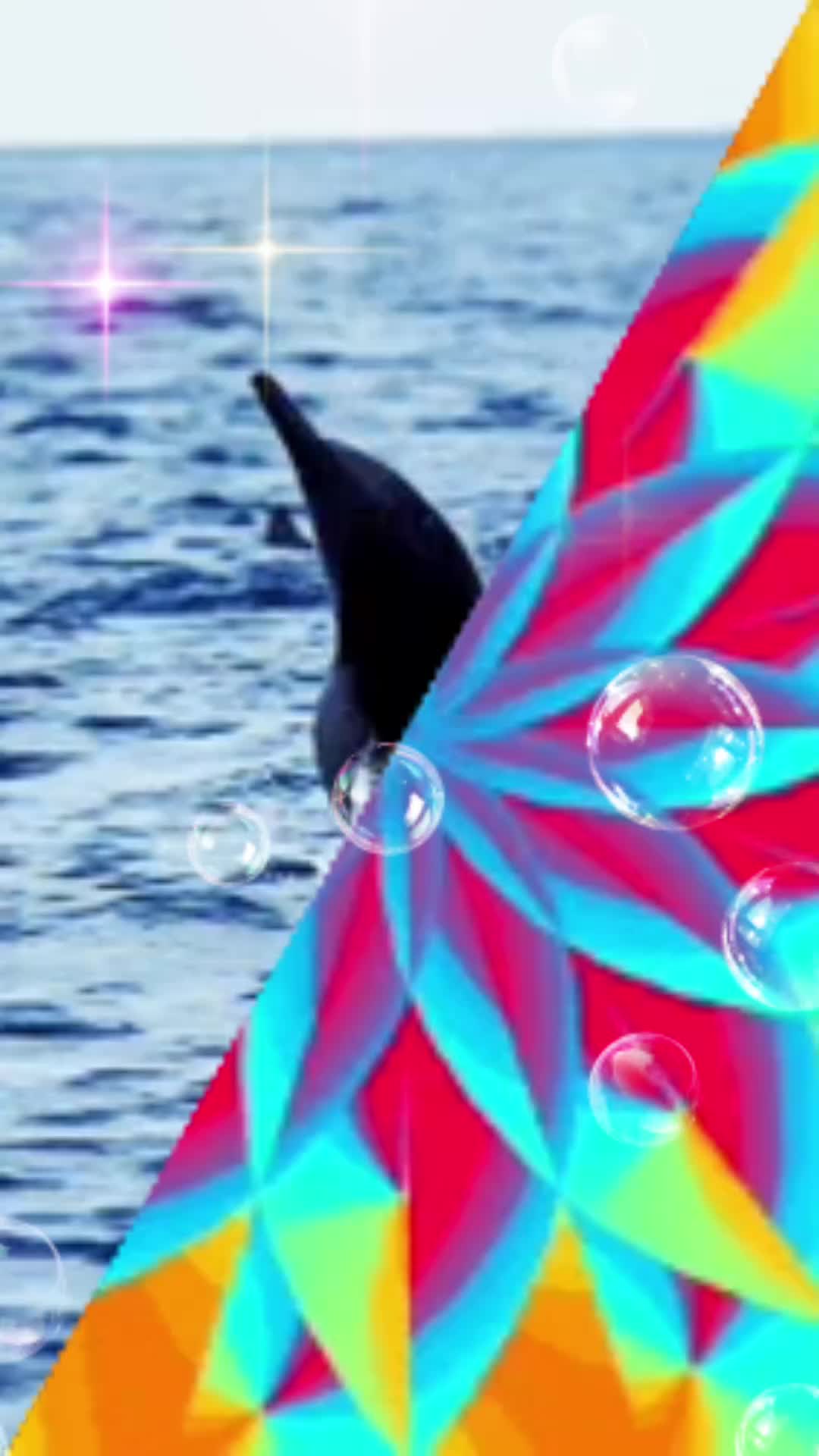 @Ivan 63 🌈🌈🌈