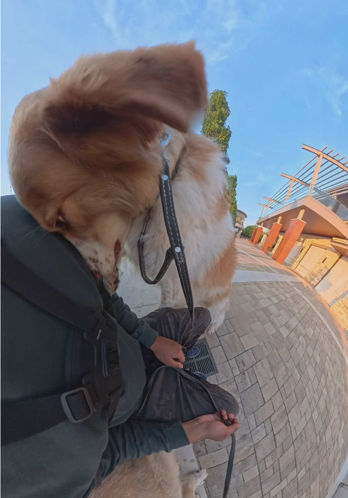 @Neko, Tokahli and Bear