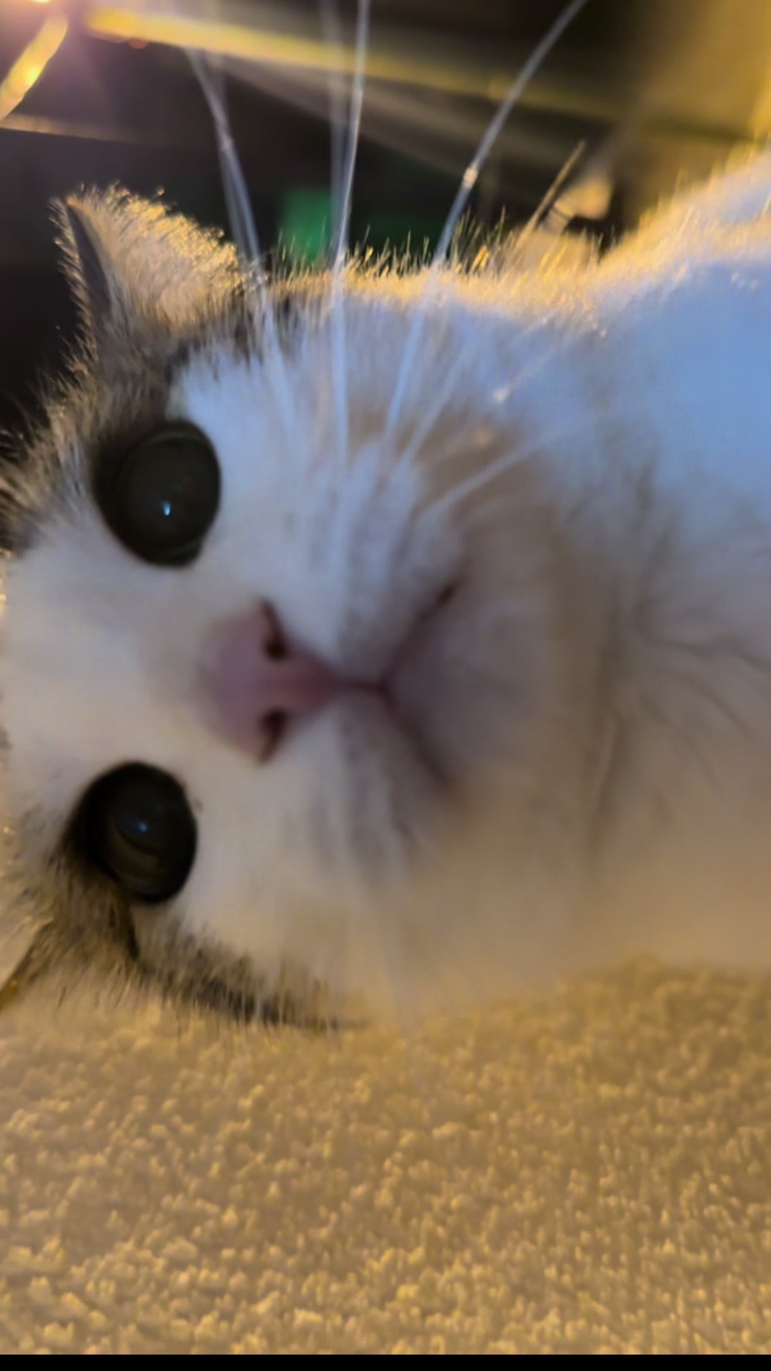 @Kiki