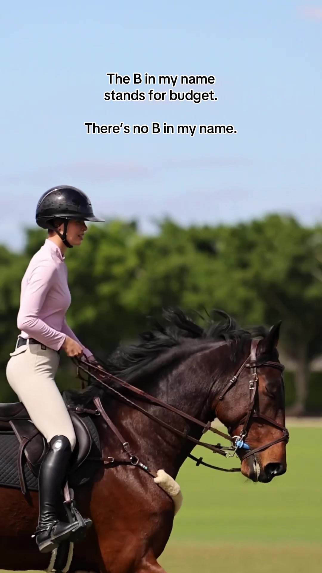 @Equisite Elements of Style