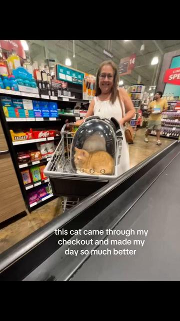 @mama