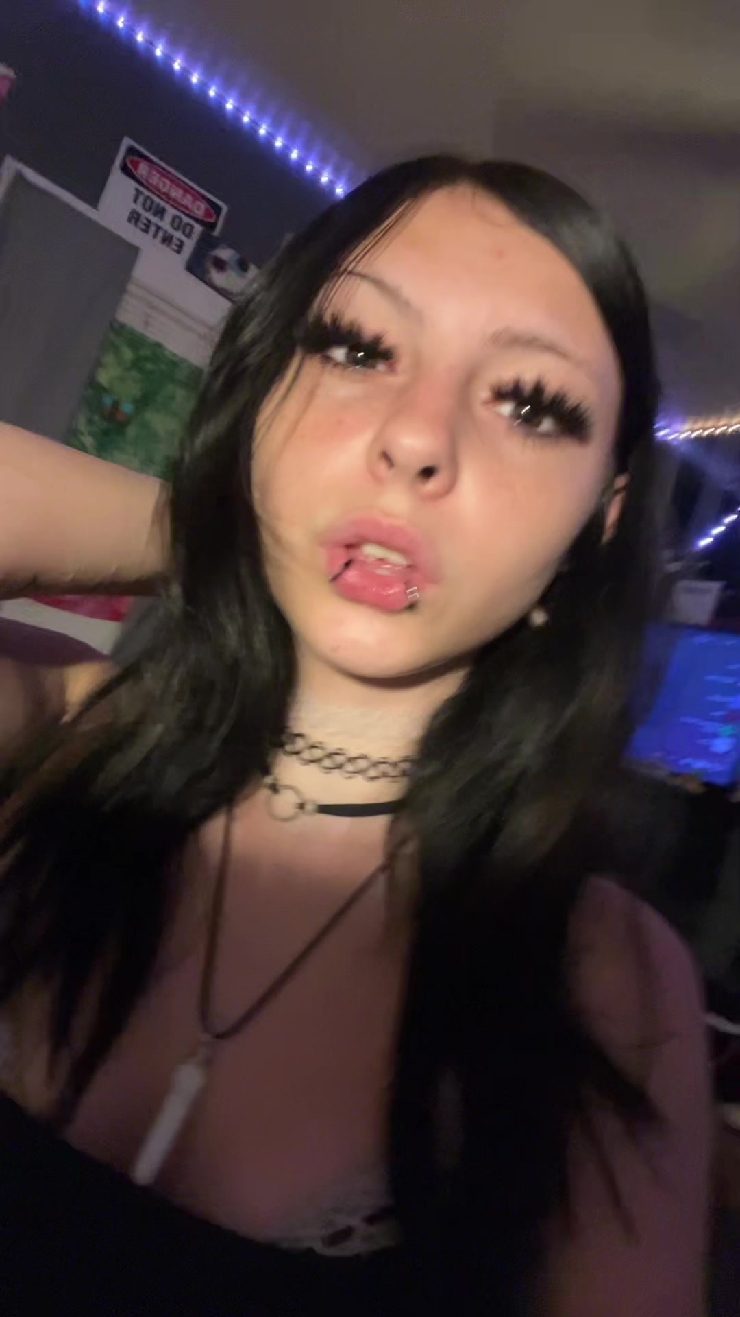 @≽^•༚• ྀི≼