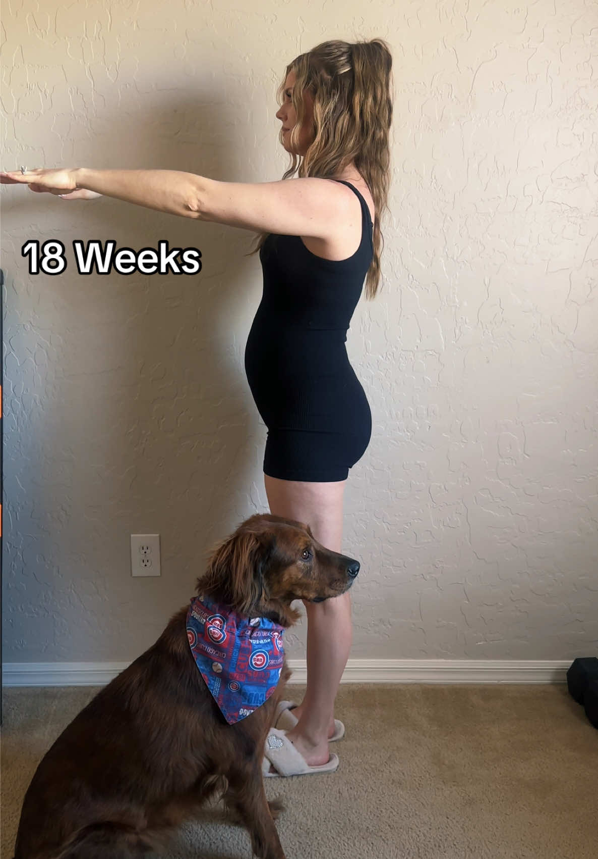 @laceyxdubs