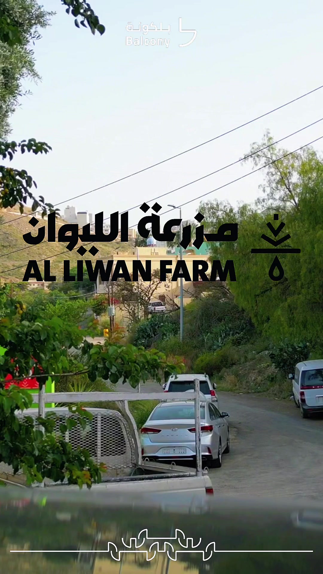 @محمد ال دواس - عسير