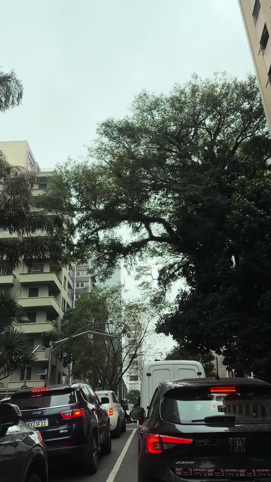 @Lu
