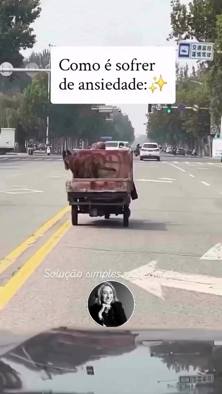 @Robson Leitao II
