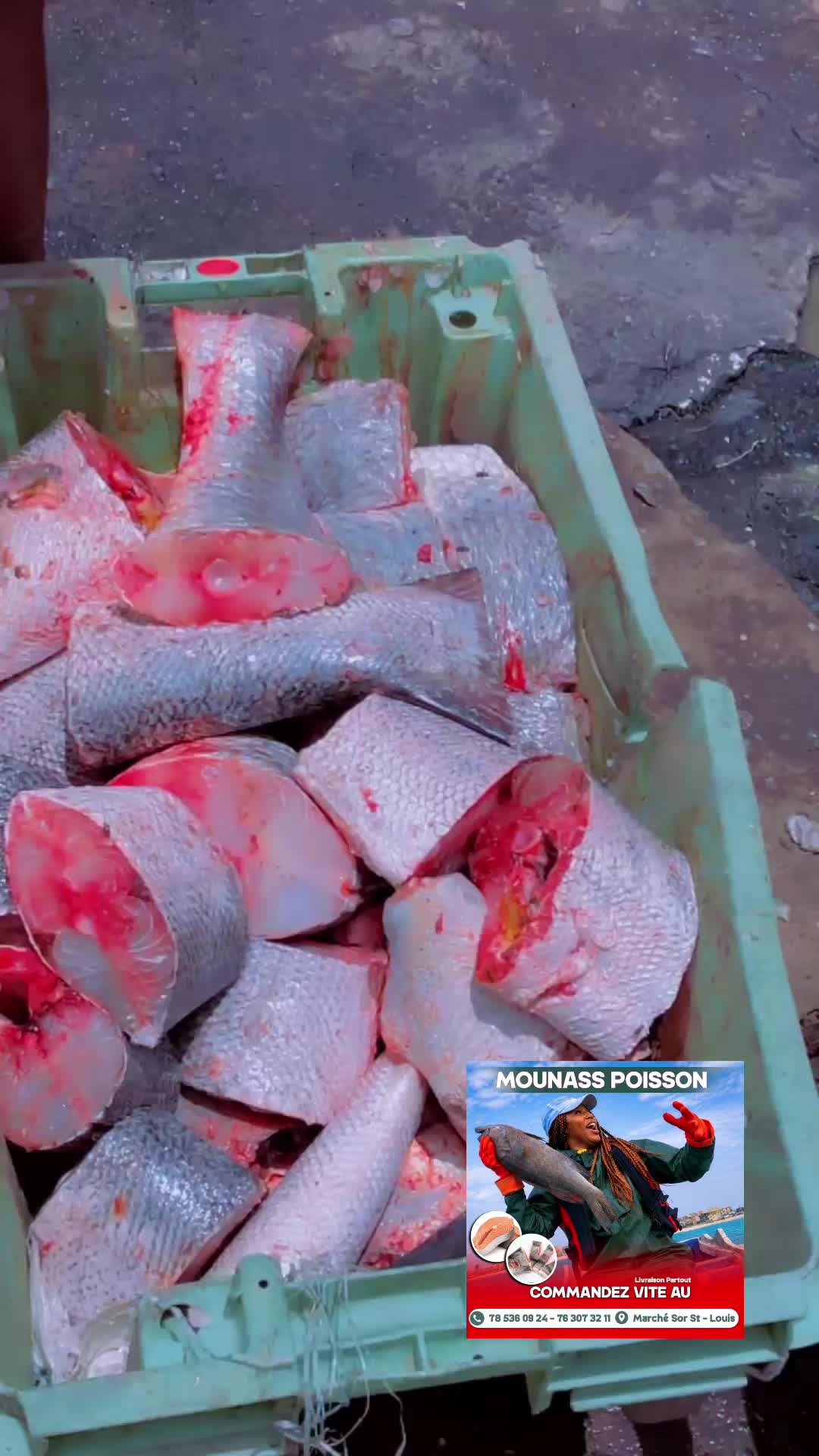 @Mounass poisson
