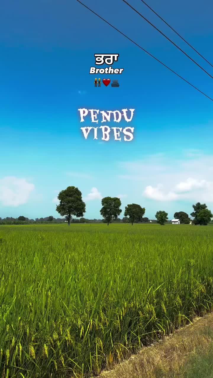 @Pendu vibes