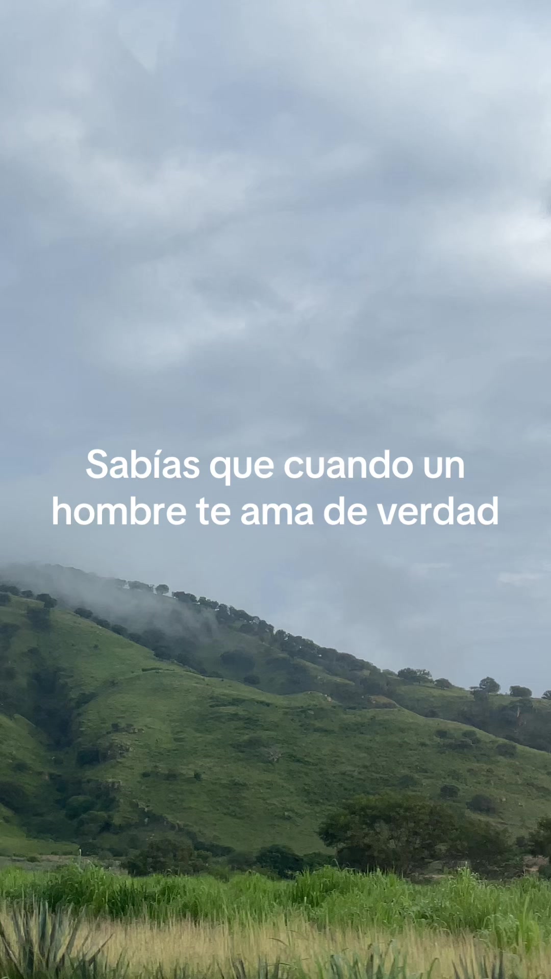 @Nene Morquecho
