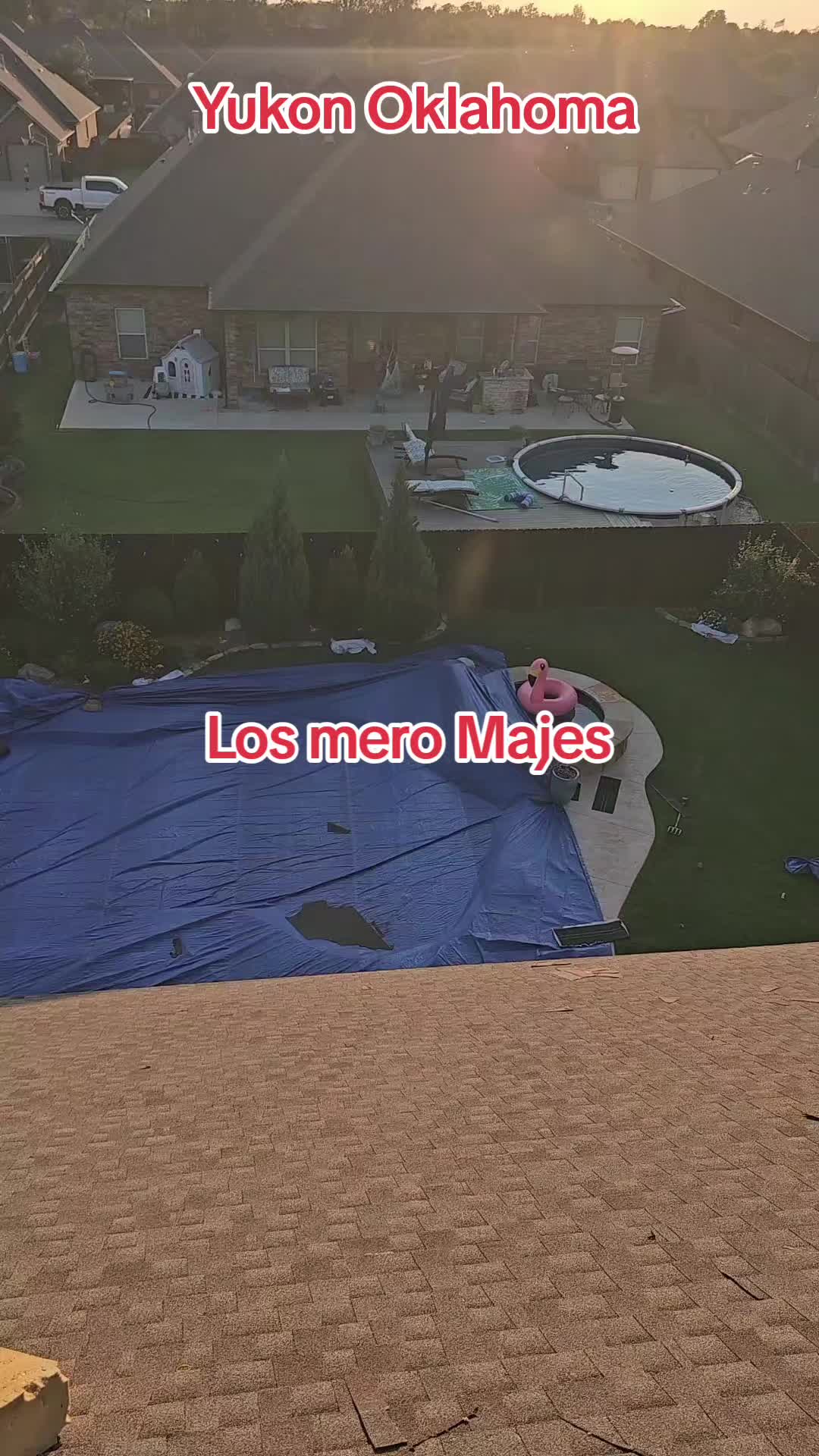 @ElpapideLospollitos