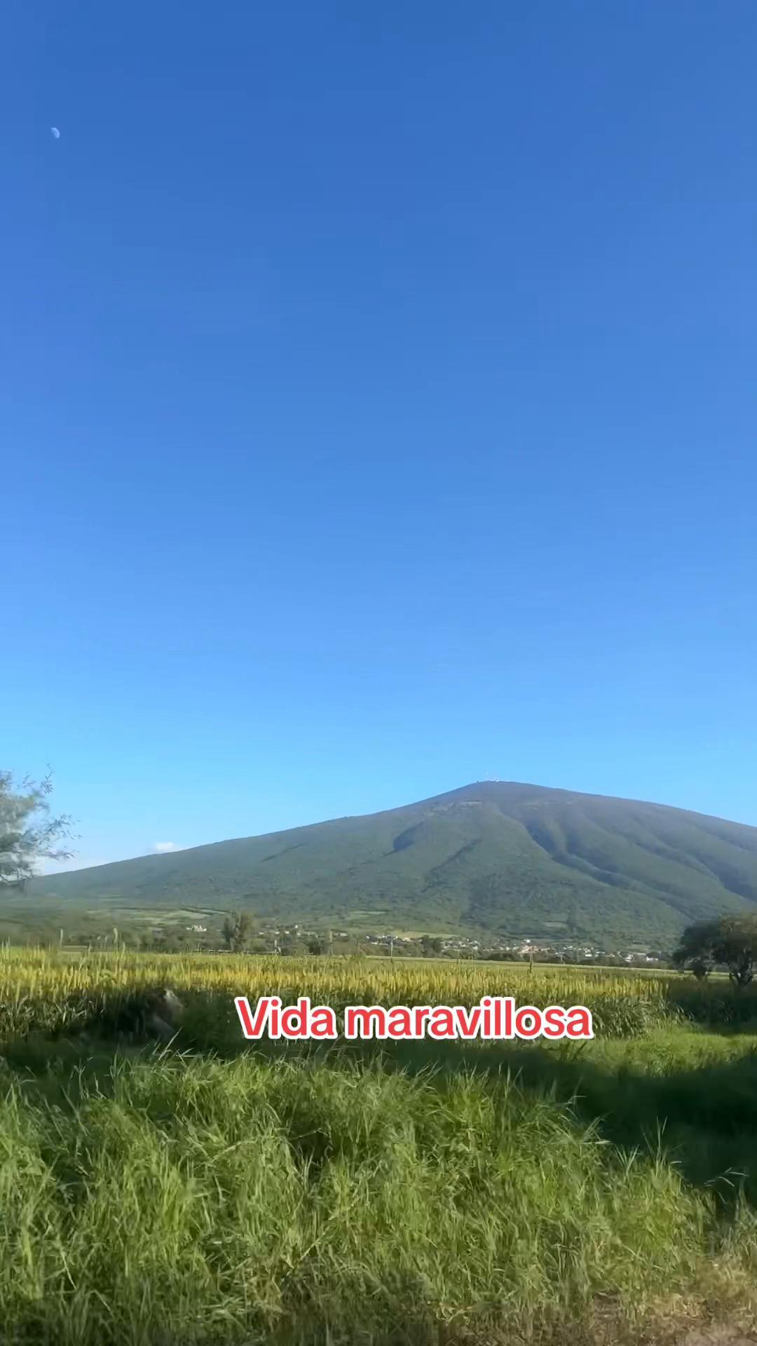 @Dulce