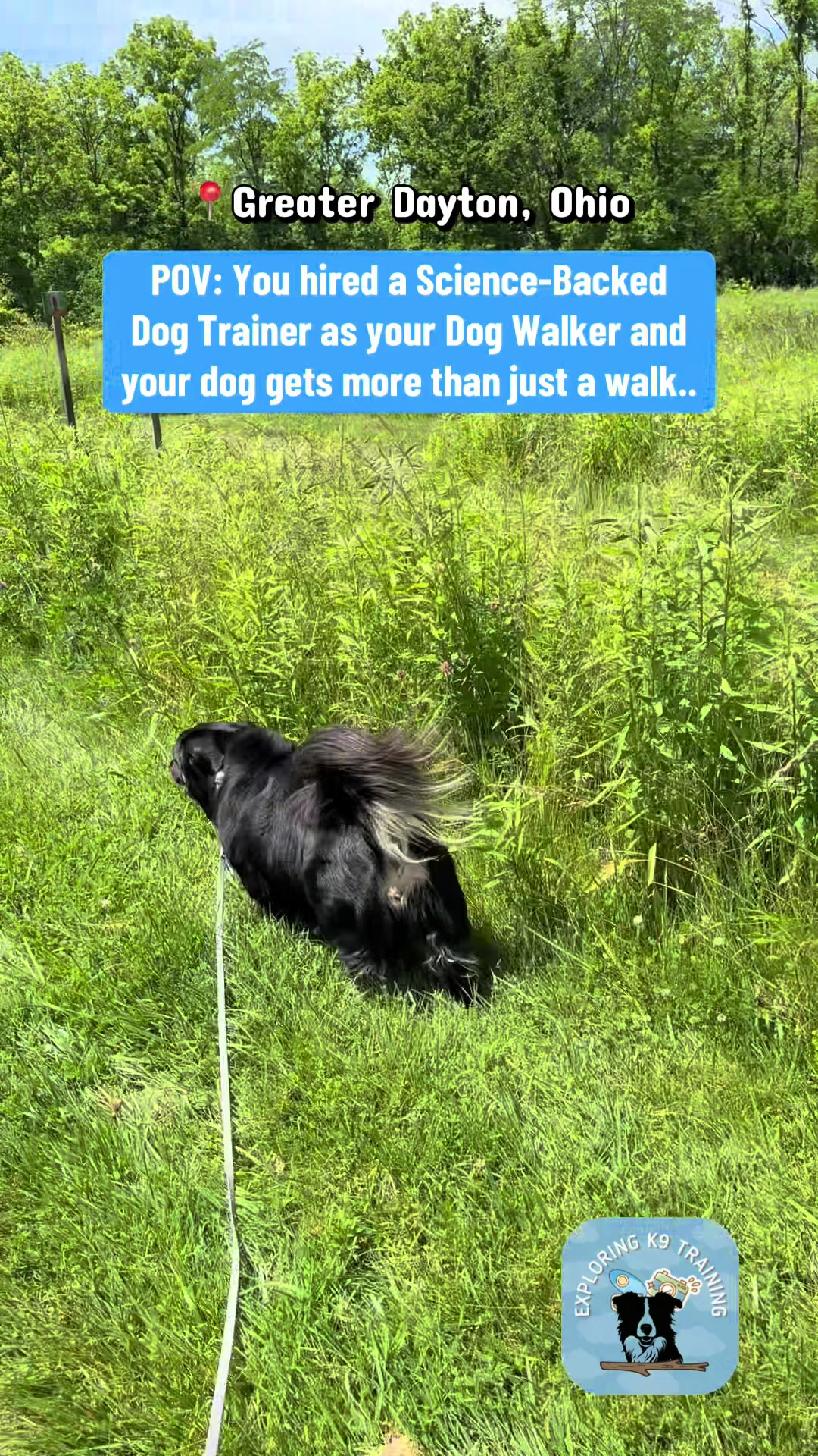 @Exploring K9 Training