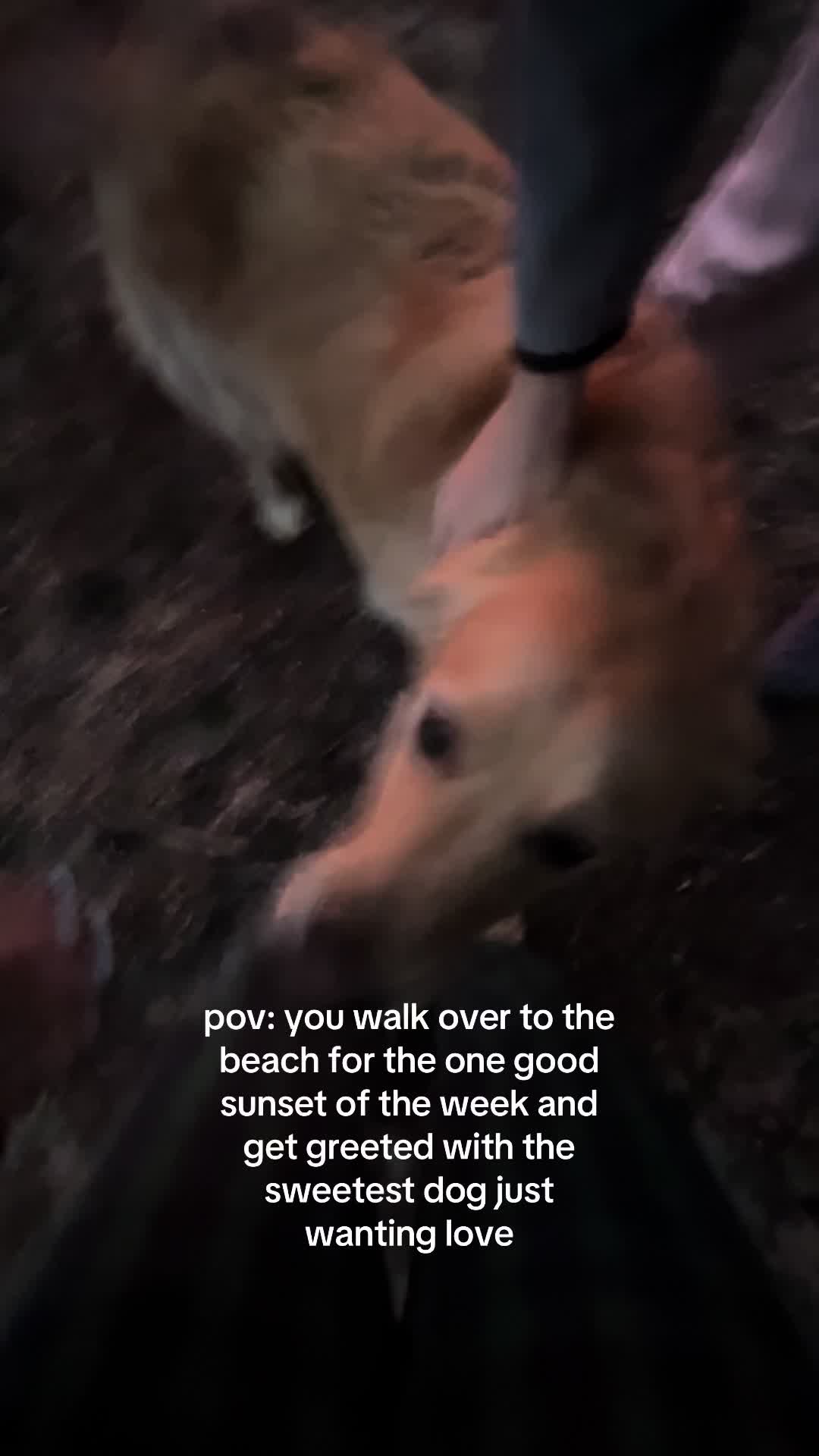 @mo <3