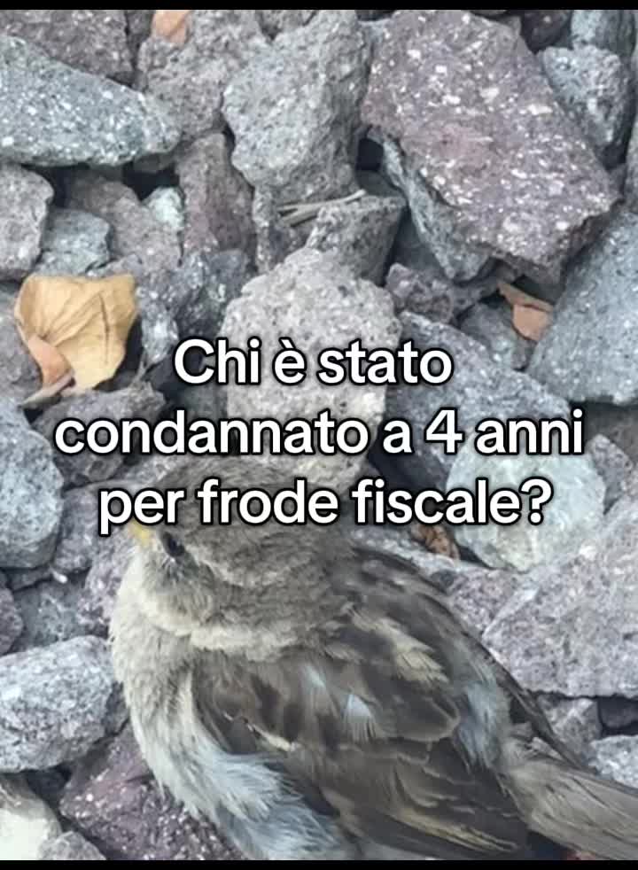 @Odiamo la Destra