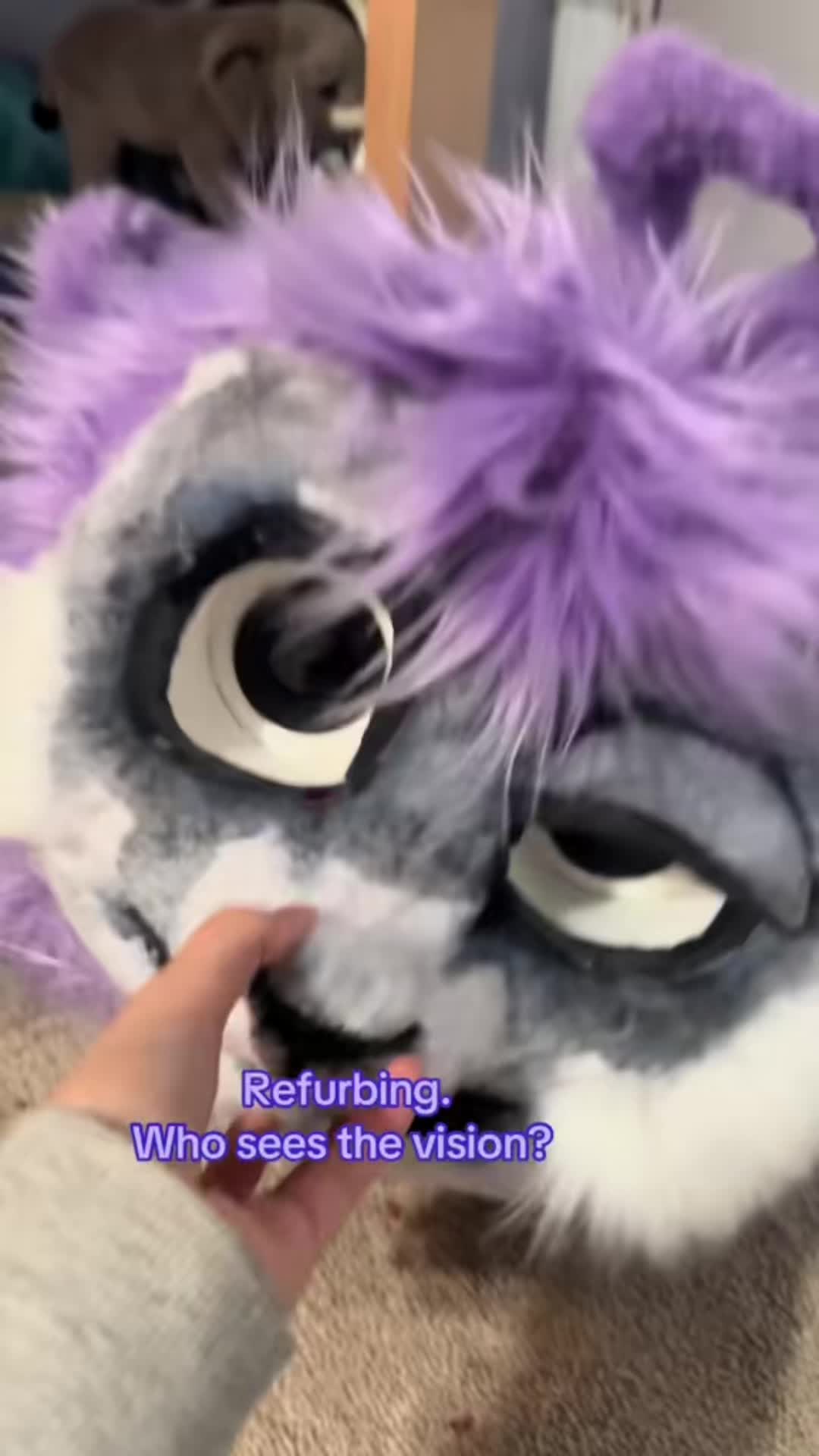 @✮彡🐾NOOT🐾✮彡