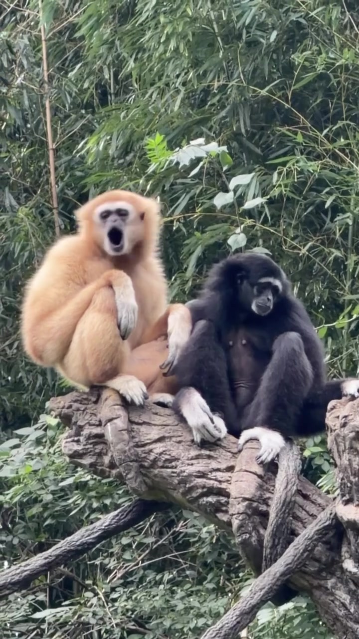 @Cincinnati Zoo