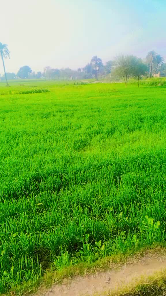 @M khan