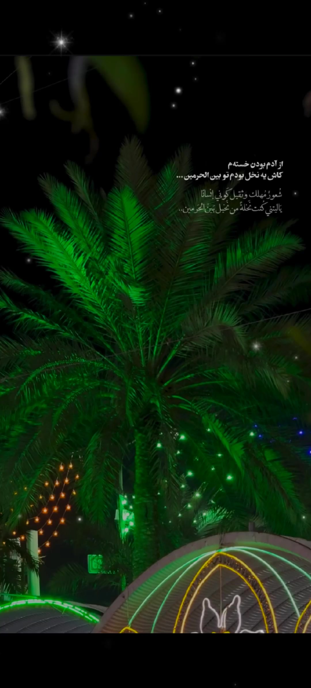 @💠گـل همیشه بـهار💠