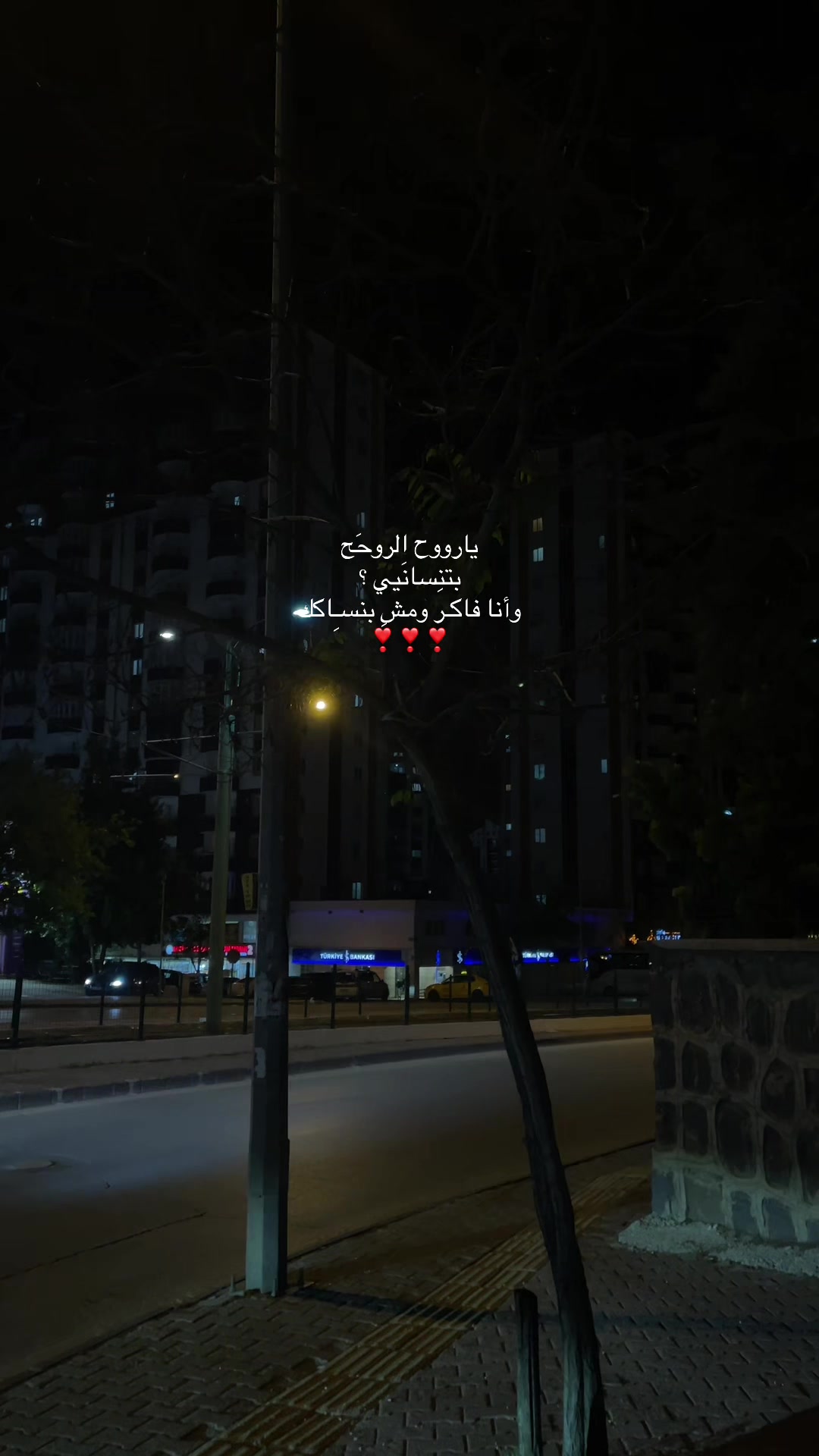 @,ِميري🦉