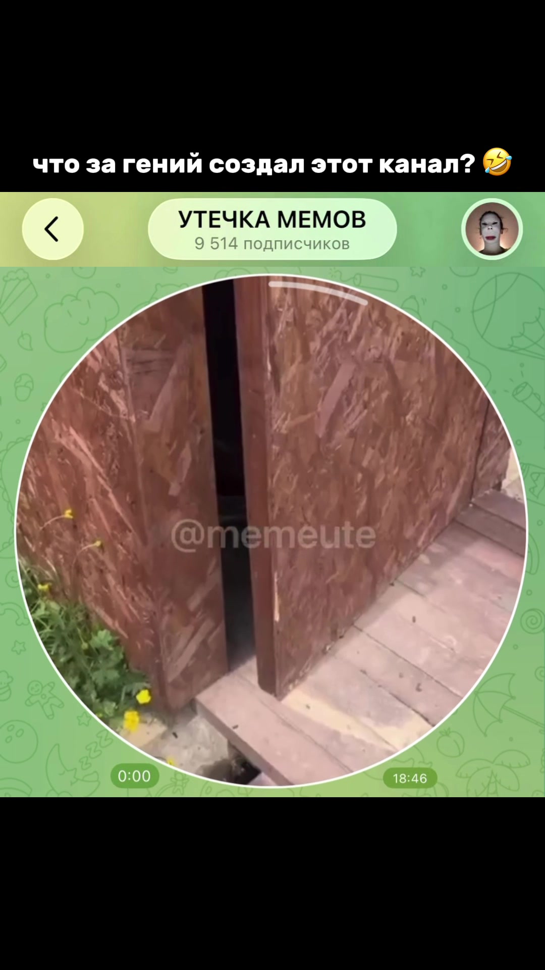 @тгк: memeute