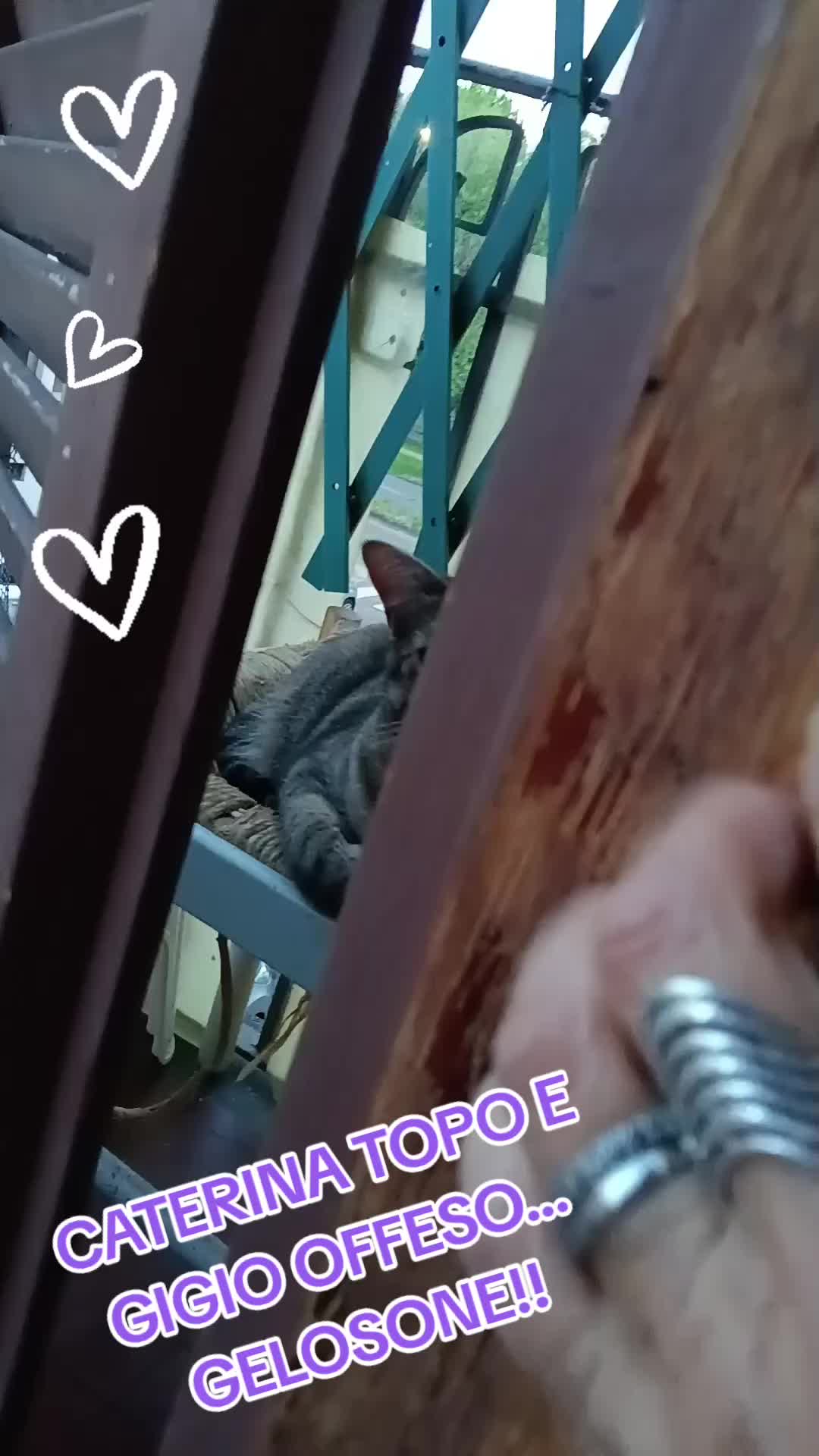 @simo♥️