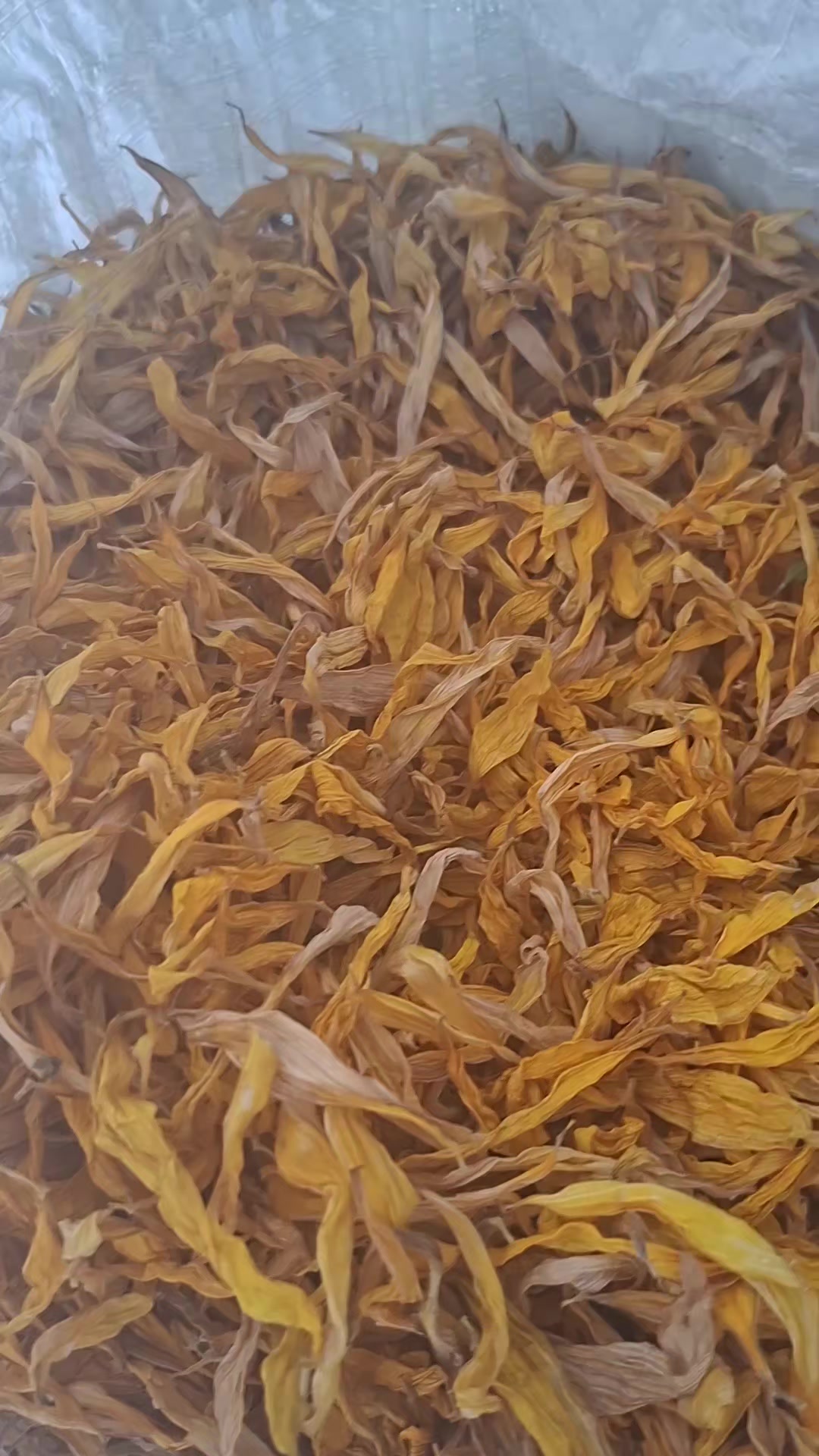 @петрович
