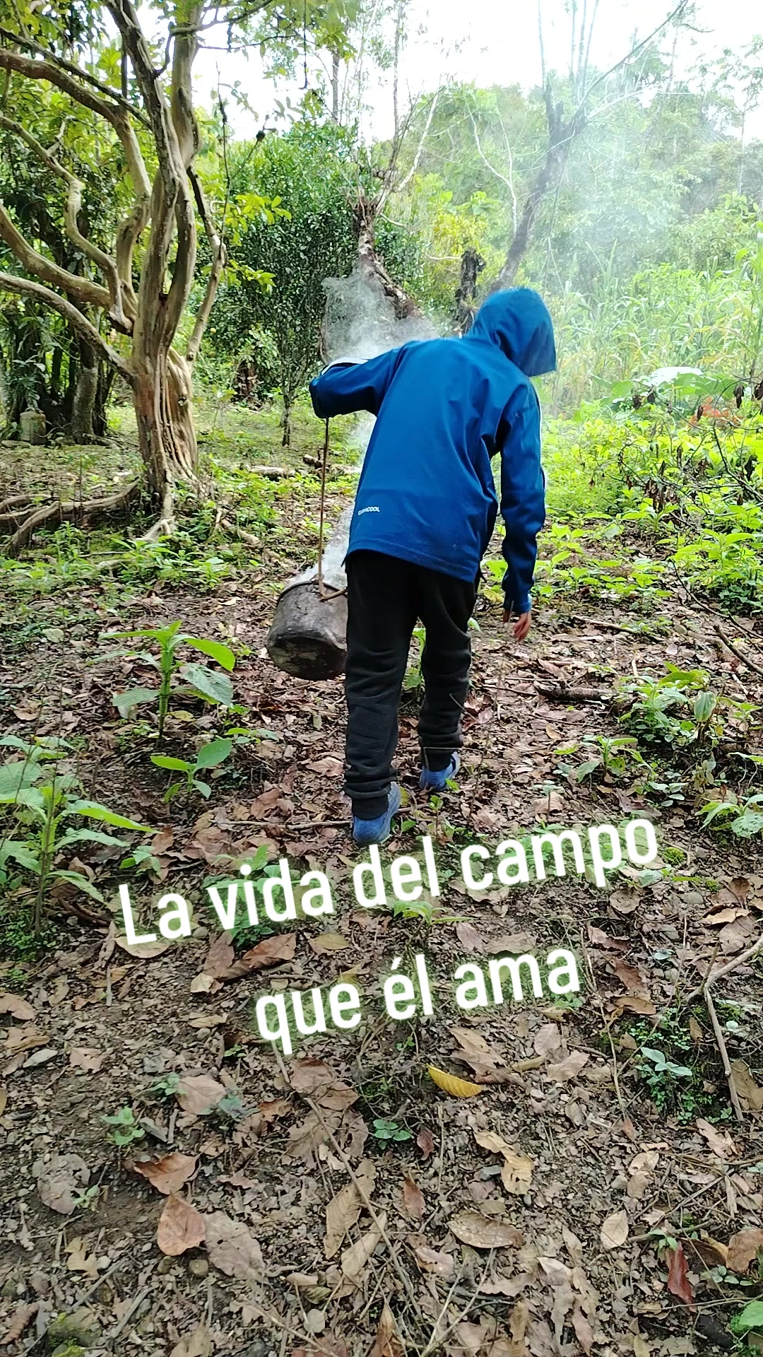 @Cinthia ZebF🍀