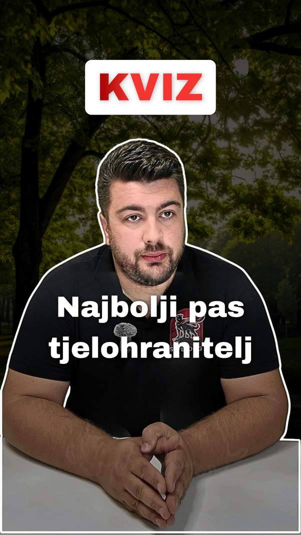 @superdog.akademija