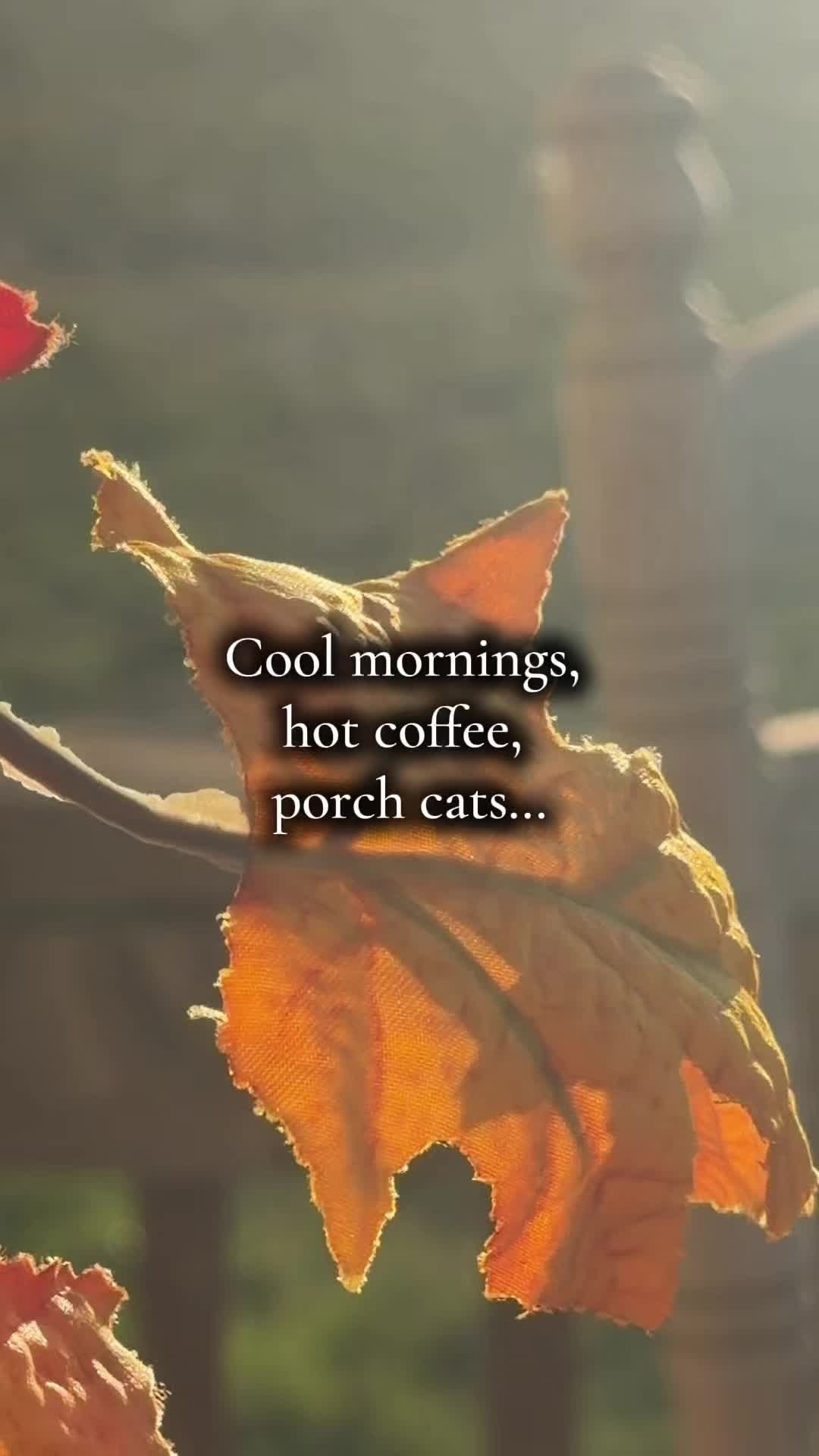 @🌻†HealthyHearted𝓂♡𝓂𝓂𝒶†🌻
