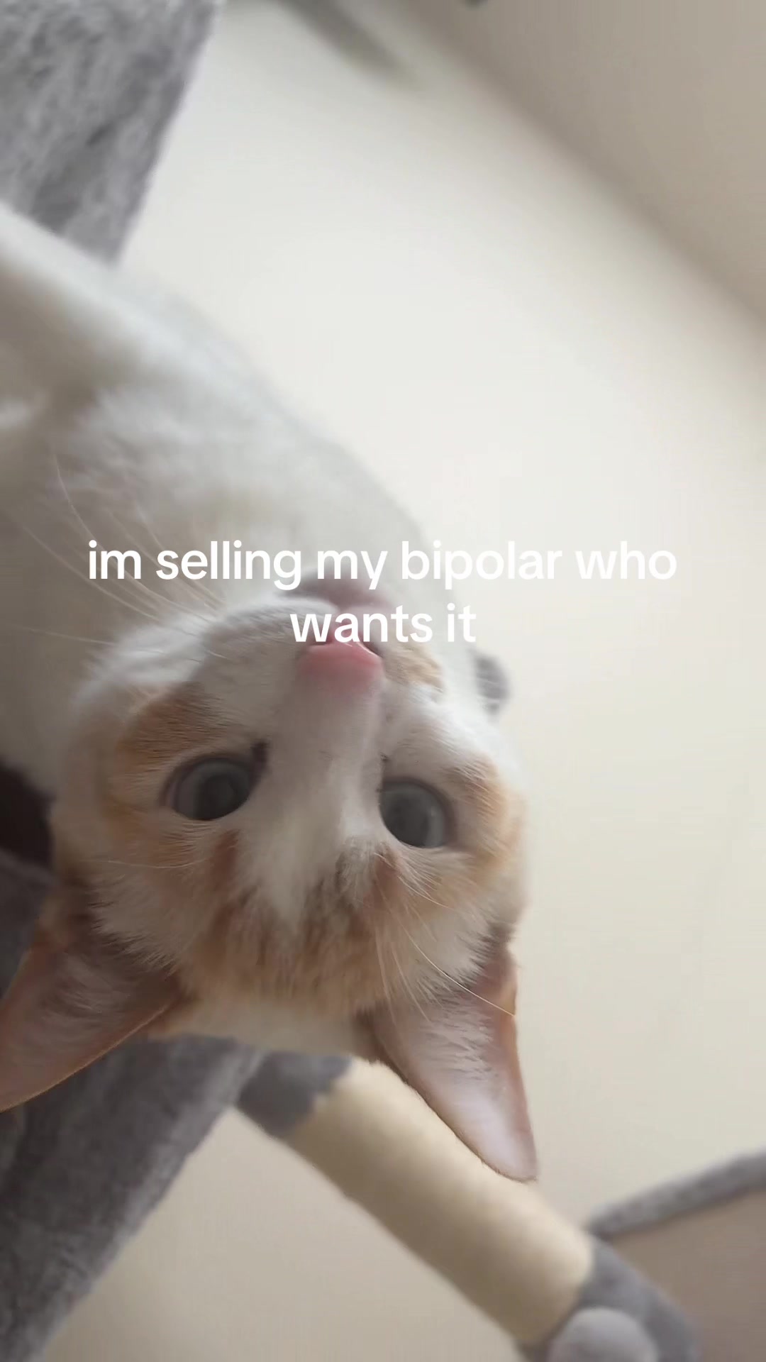 @nakita