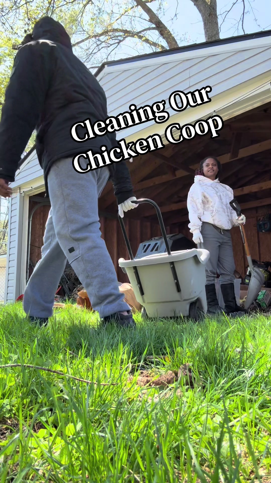 @Lady Gray