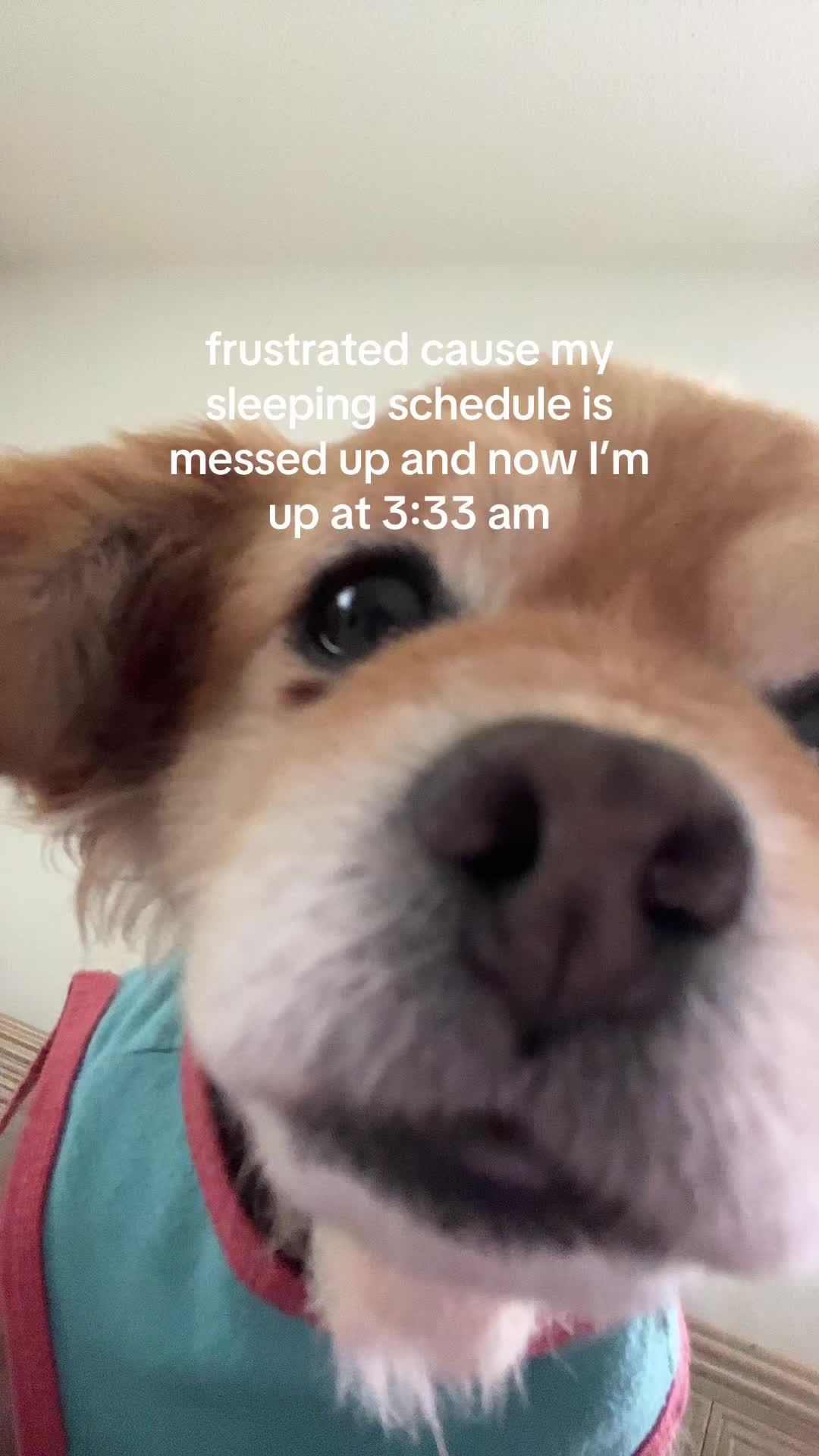 @kingpep