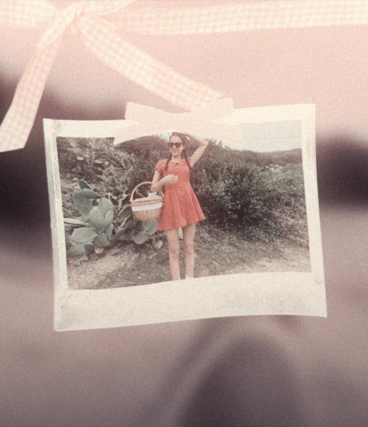 @♡₊˚ 🦢・₊✧