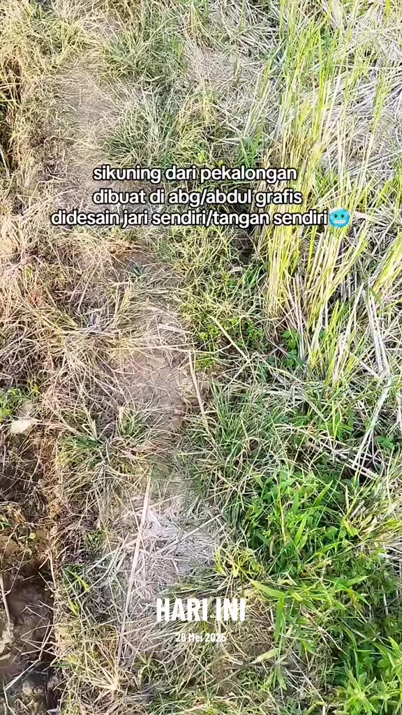 @𝐑𝐁𝐒𝐒 𝐂𝐎𝐌𝐔𝐍𝐈𝐓𝐘🍁