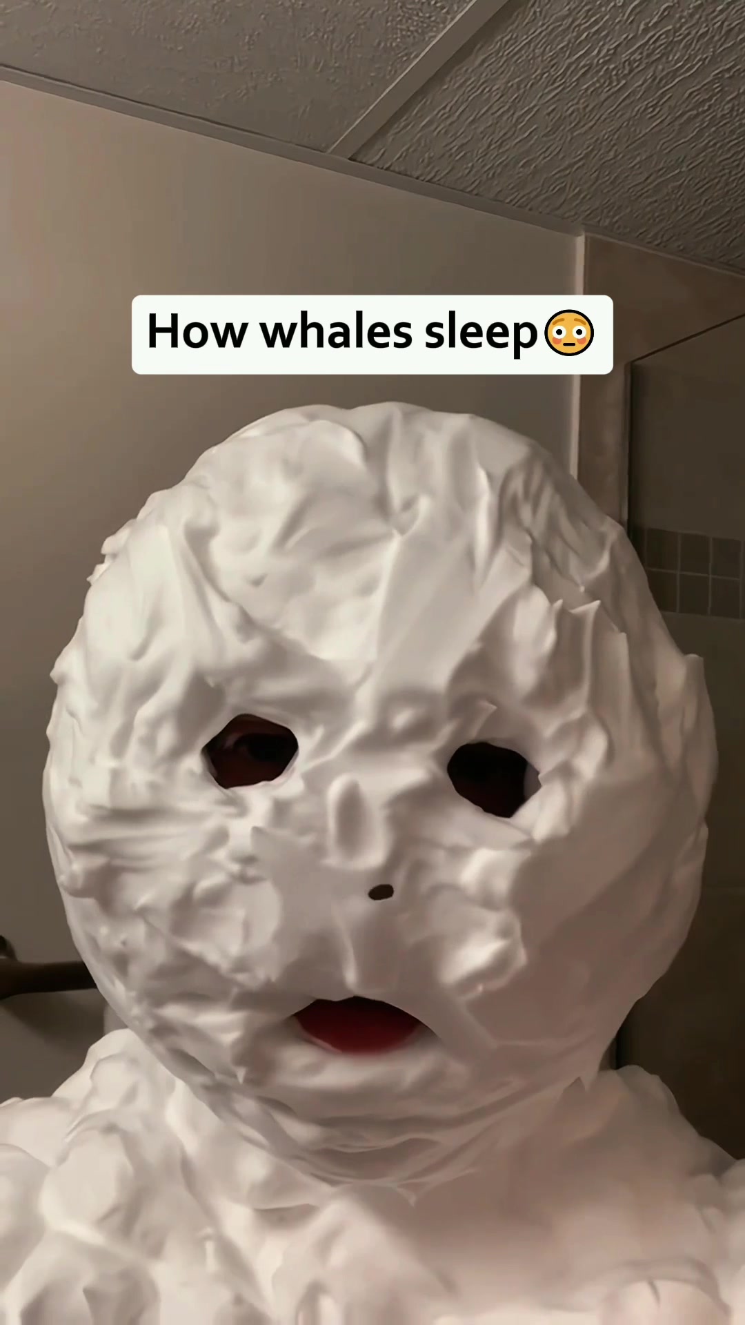 @WaitWhatVibes