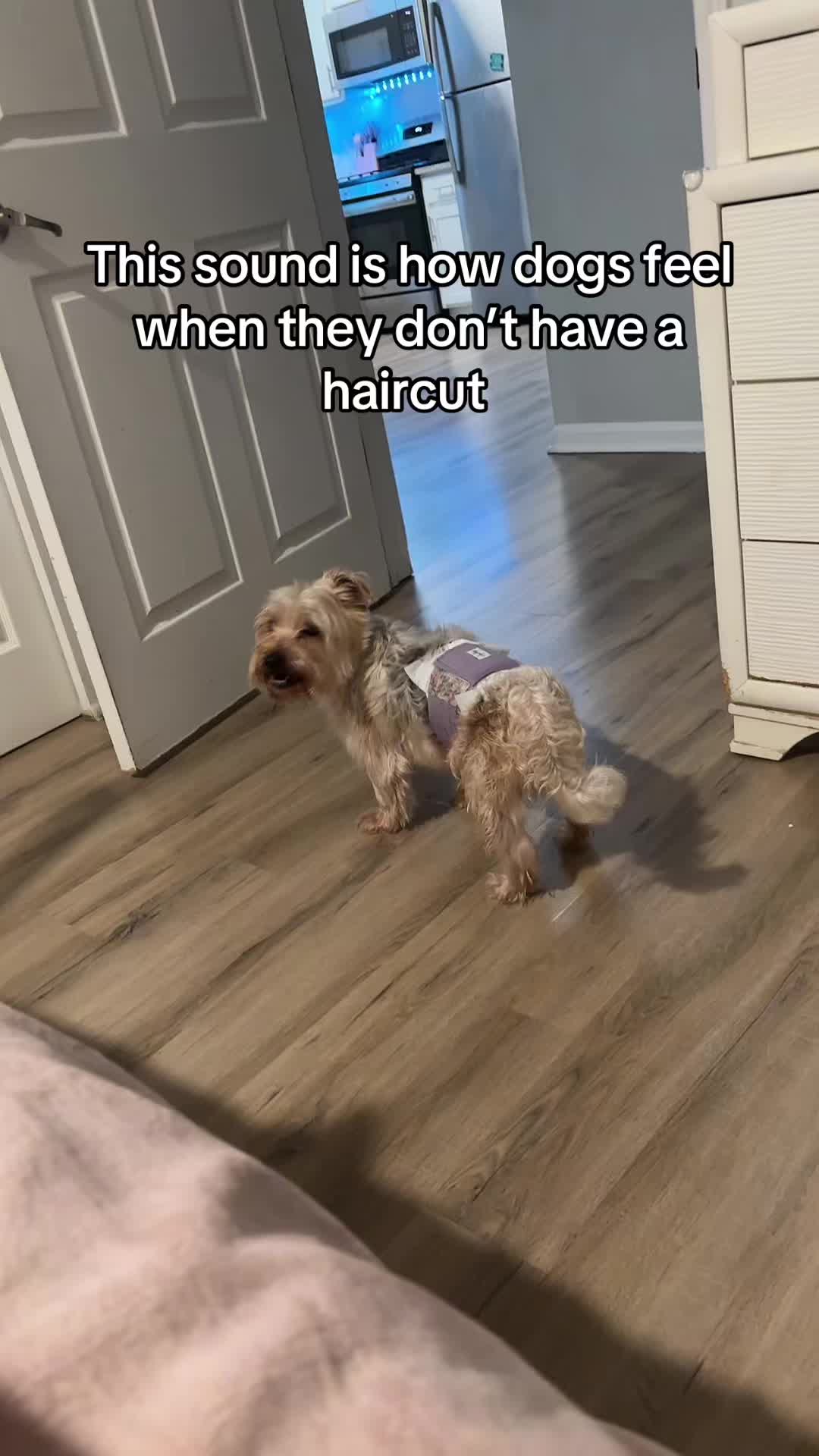 @omgjackiee