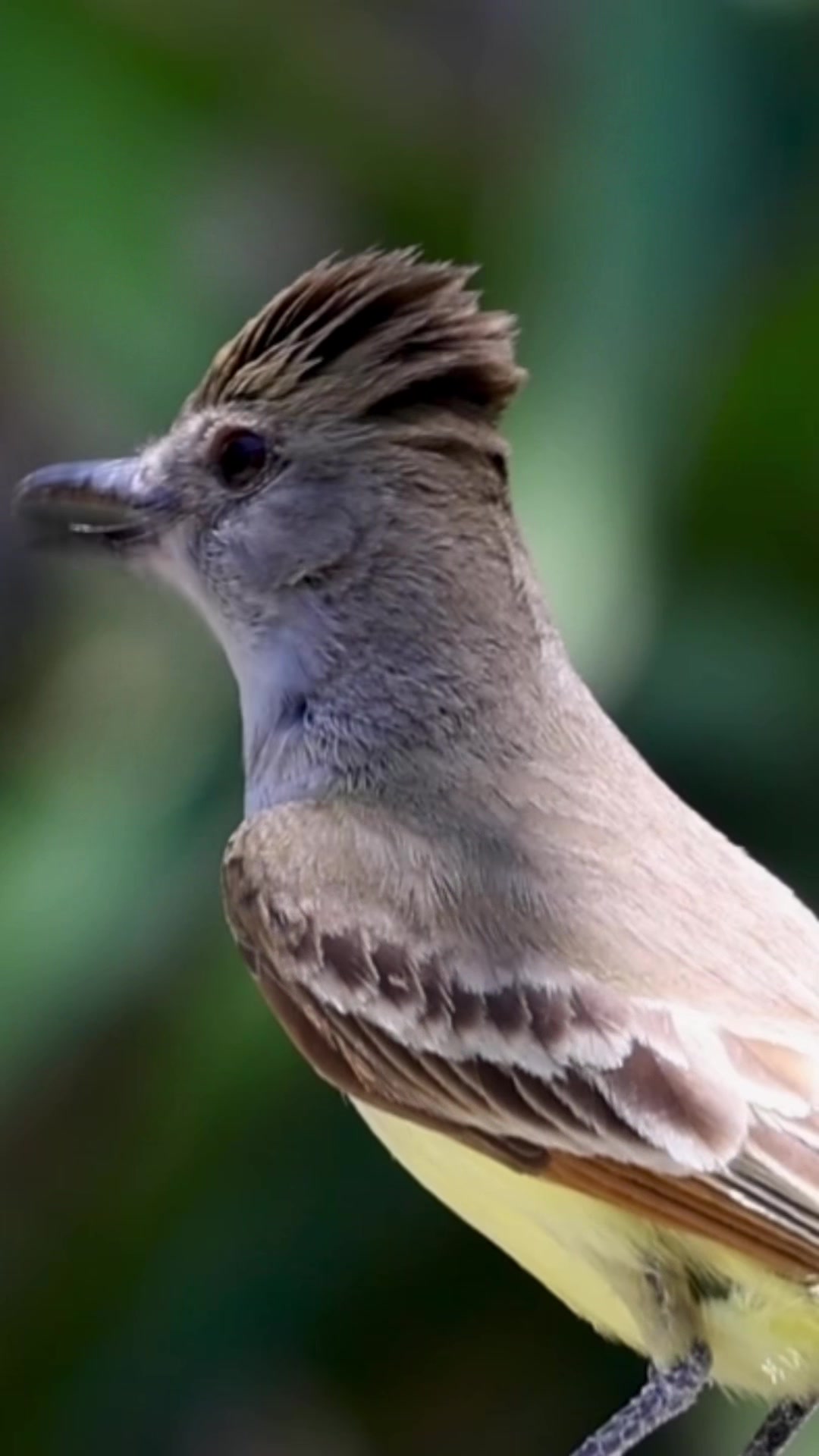 @ASMR Nature Love