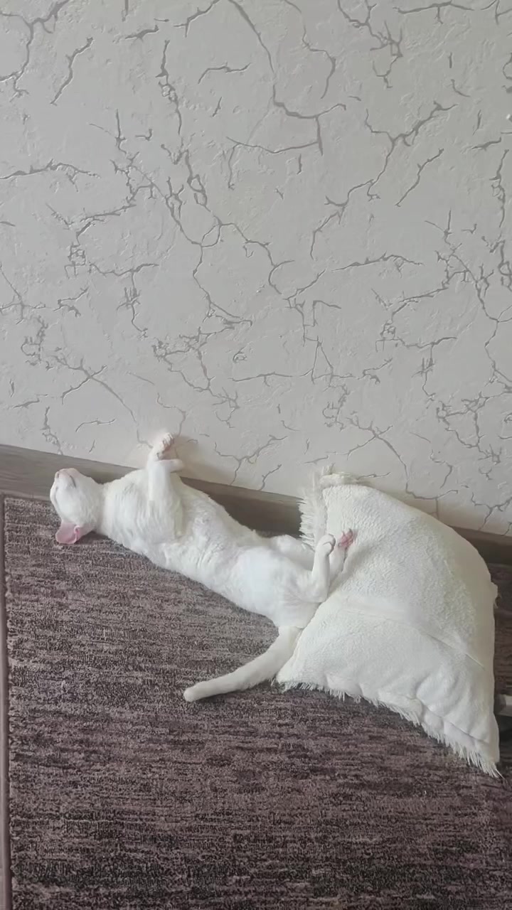 @Лев 🦁 Скавронский❤️