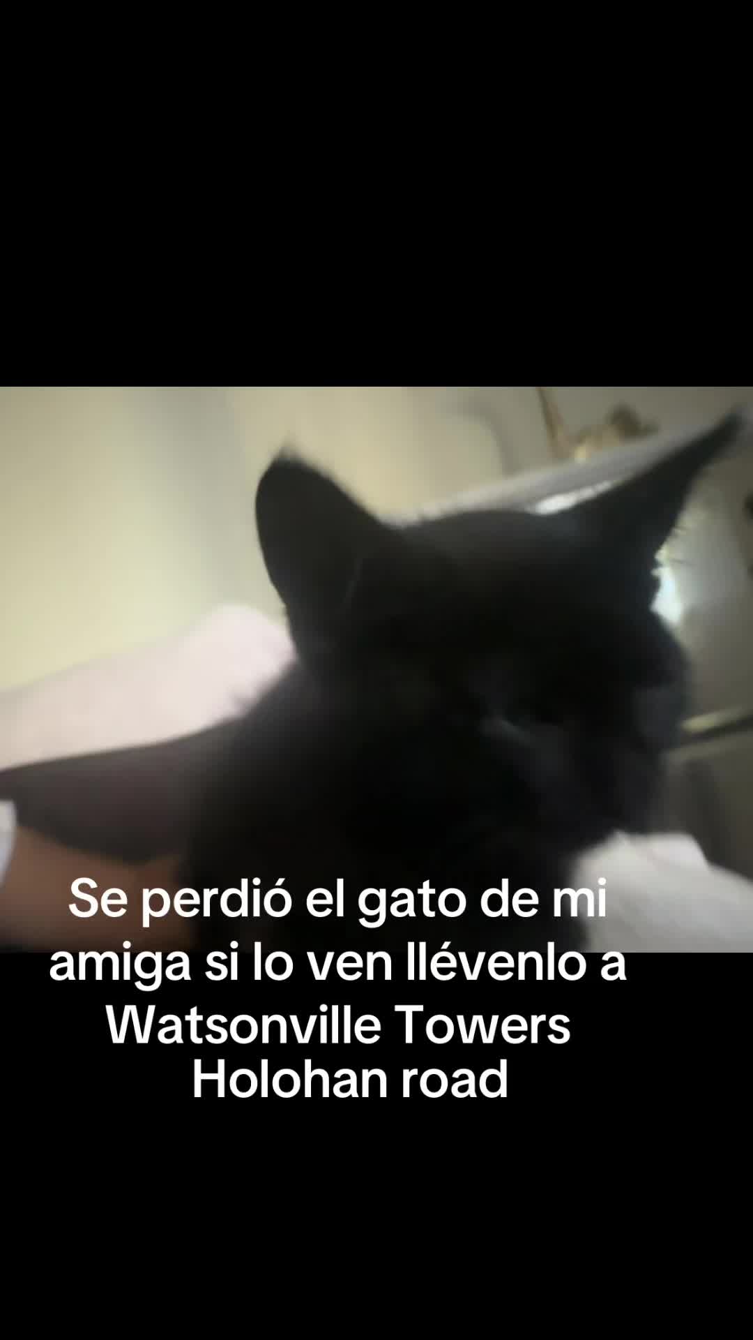 @AndreaRamire🇲🇽