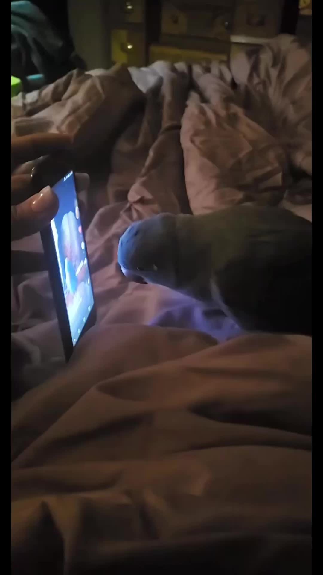 @4youLala
