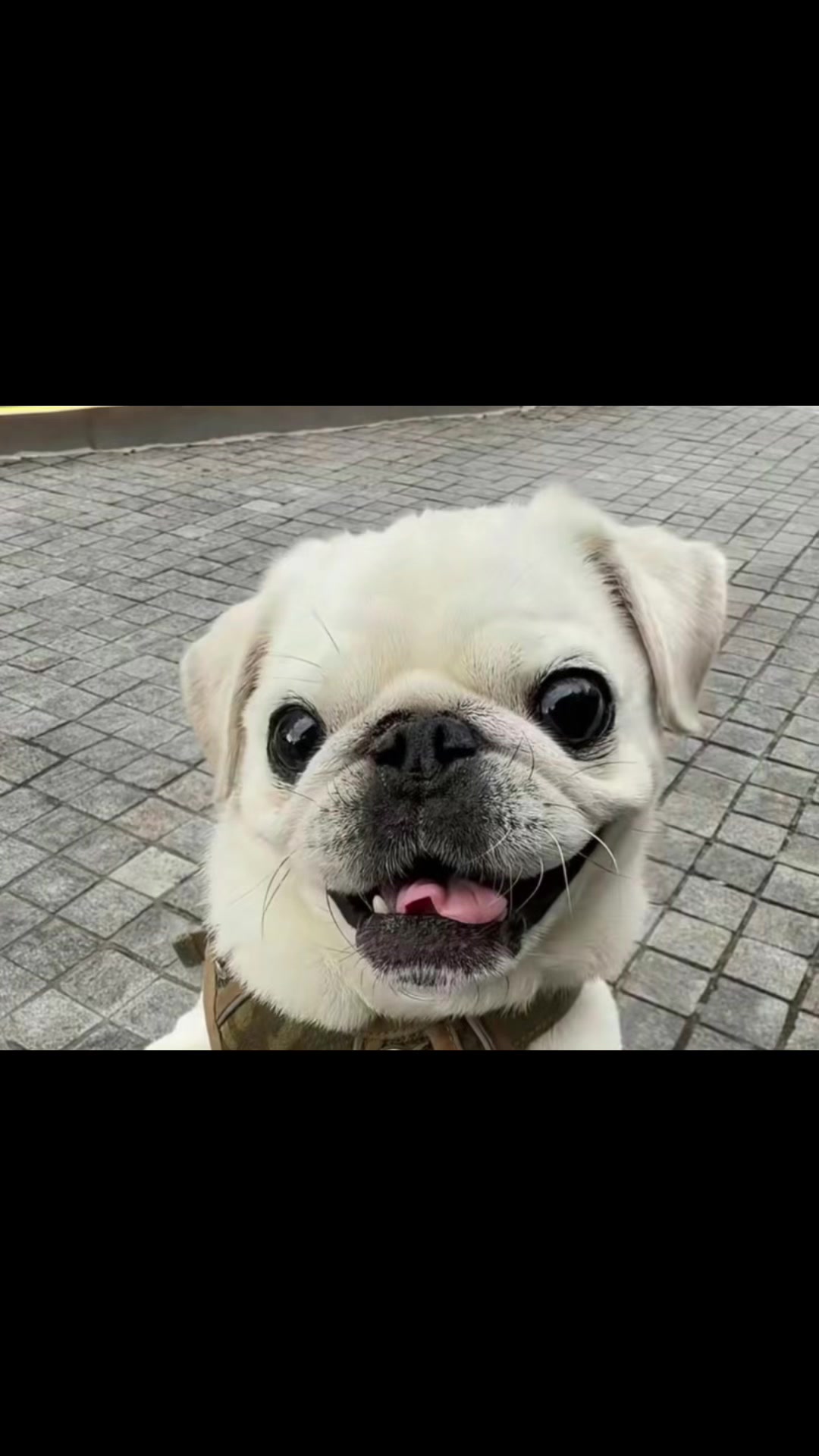 @kejustfittsmeokay ๐↔๏ธ