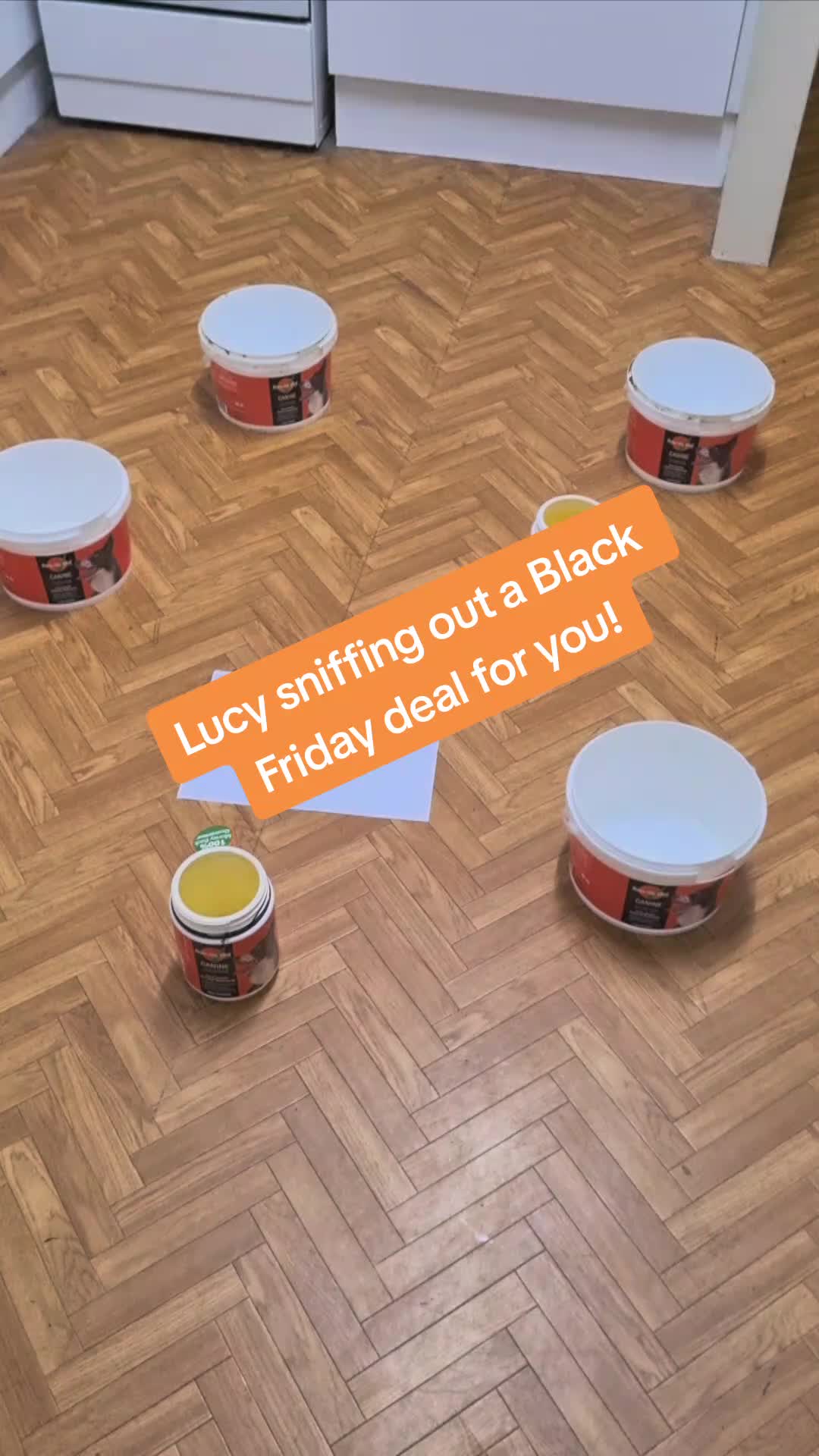 @Kodak & Crew